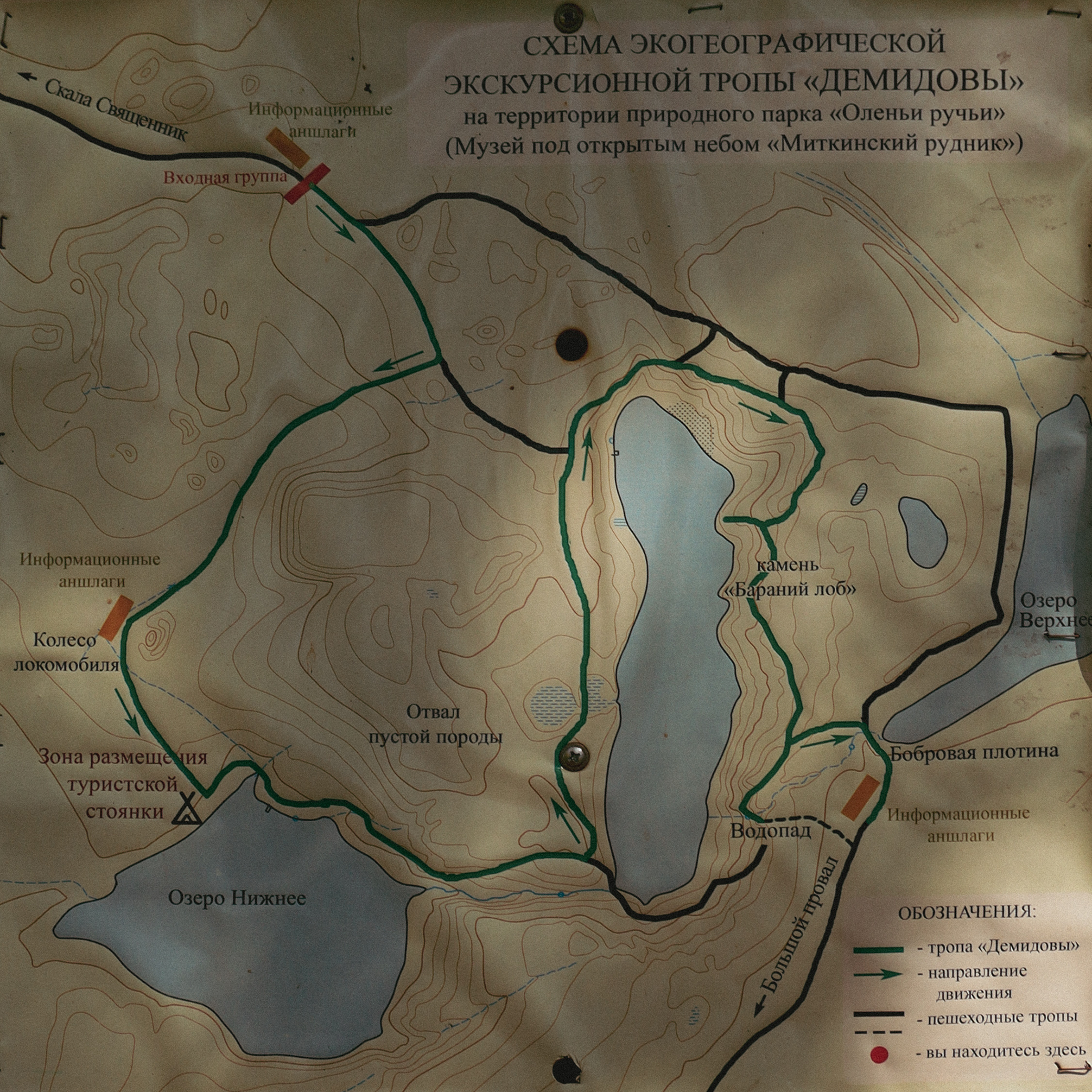 Summer hike. Фотограф/дизайнер в Екатеринбурге Хитрый Дмитрий