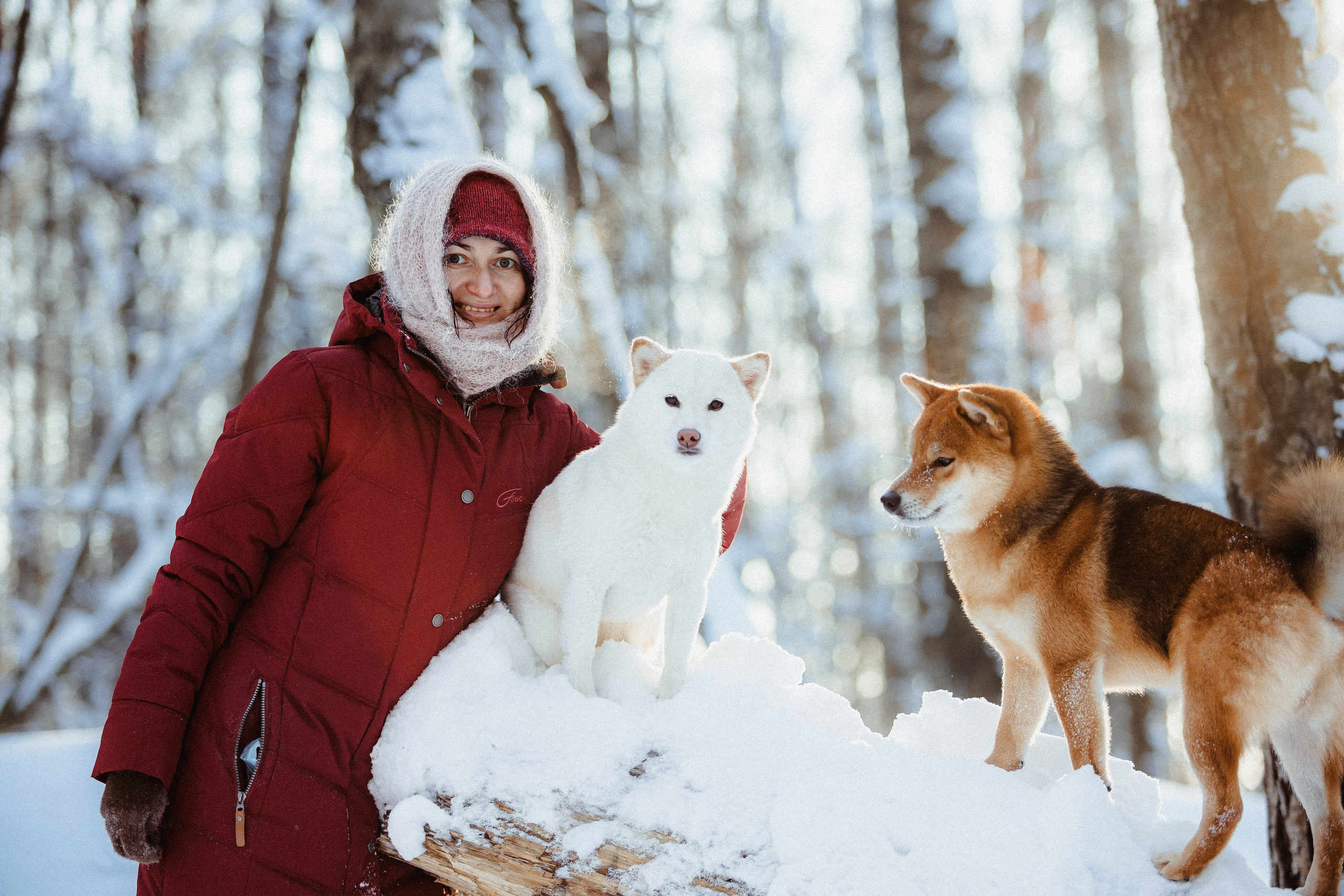 Шед, Цири и Ира