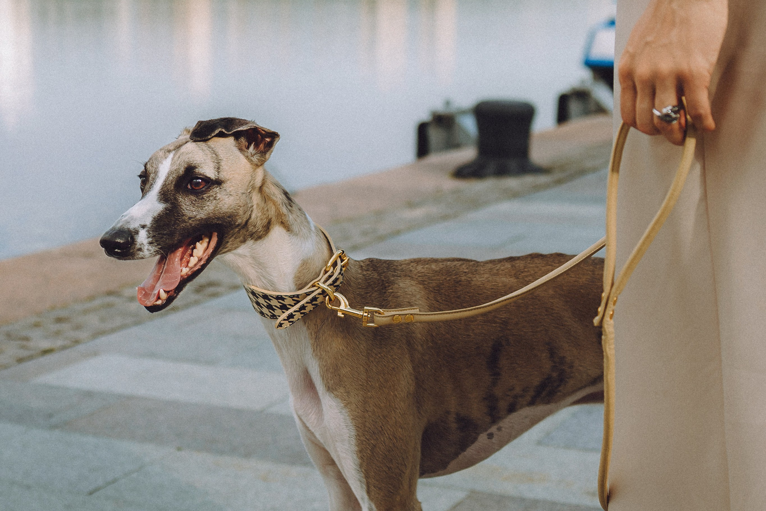 Ирина, Илья и Рик