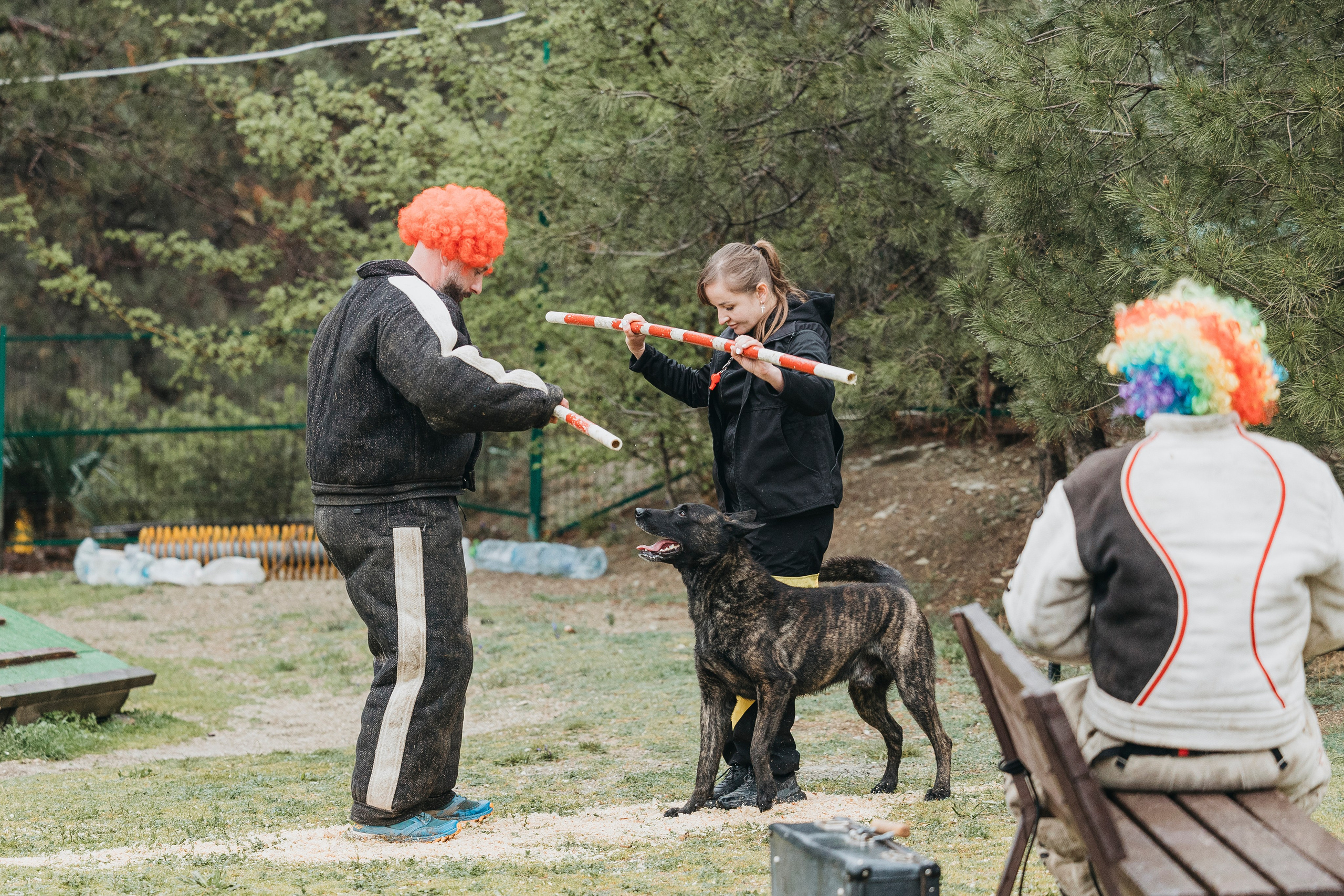 Геленджик Мондьоринг. Фотограф-анималист Анна Маринич