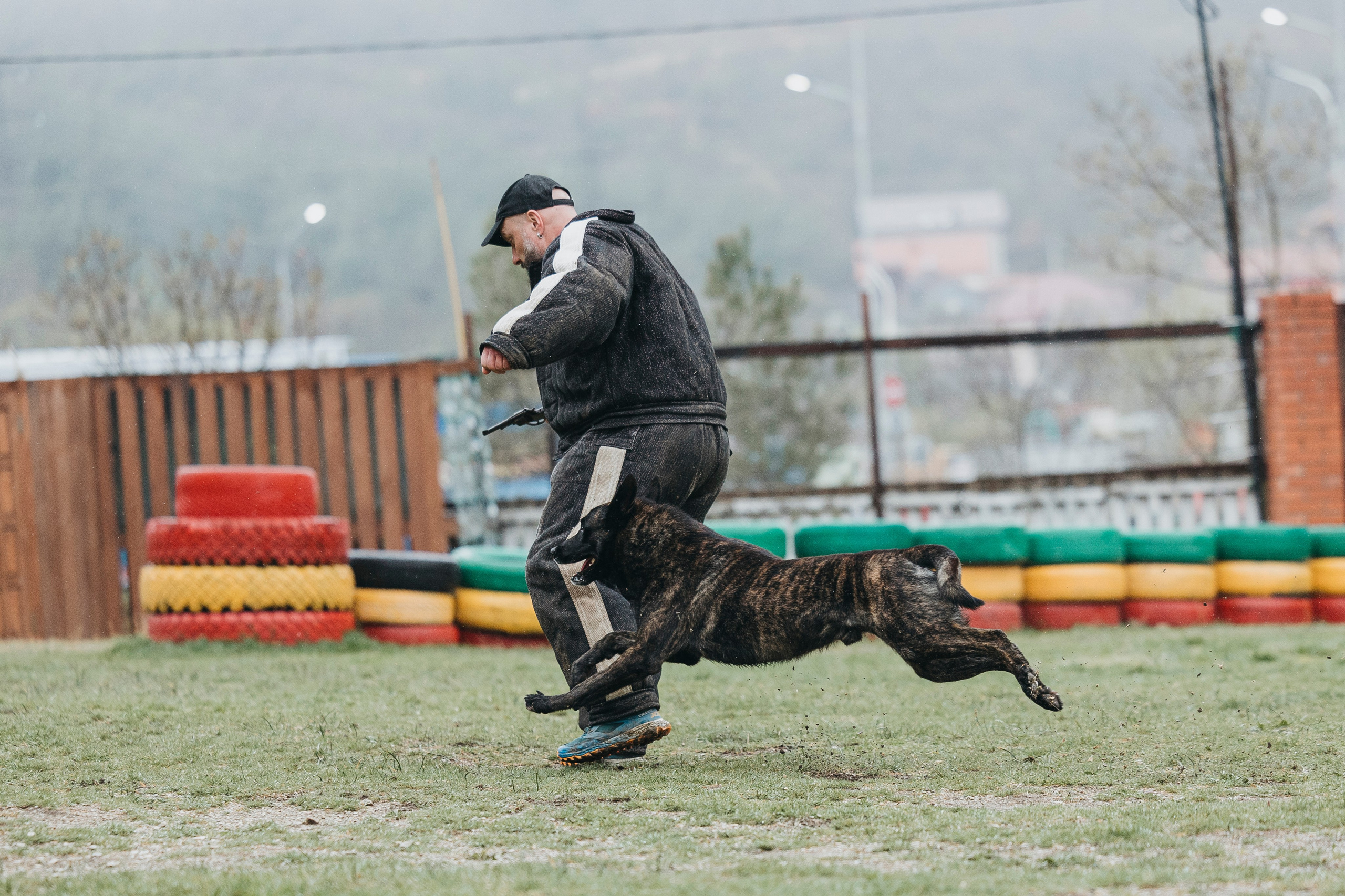 Геленджик Мондьоринг. Фотограф-анималист Анна Маринич