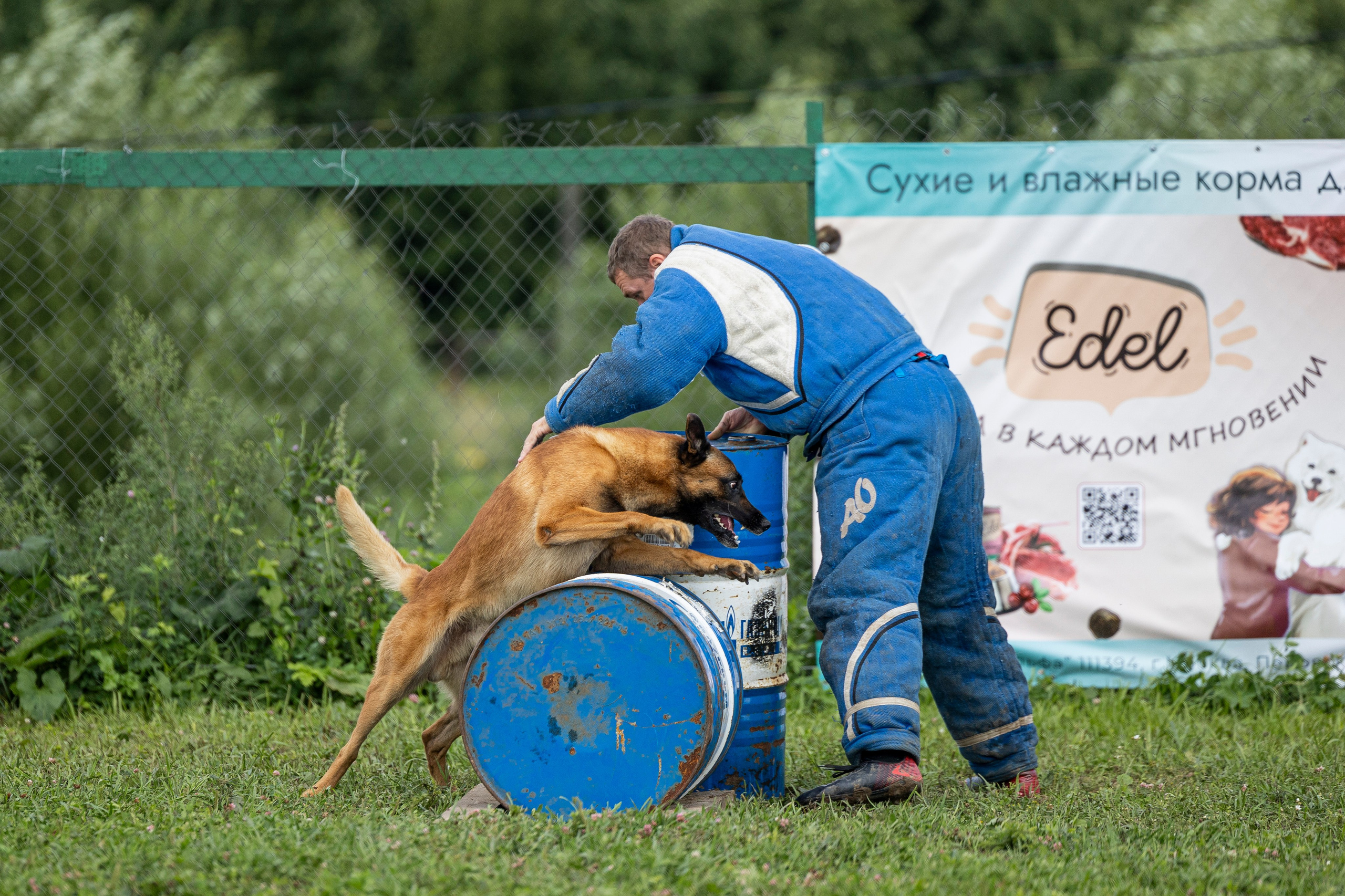 Соревнования по Мондьорингу г. Вологда 10-11.08.2024. Фотограф-анималист Анна Маринич