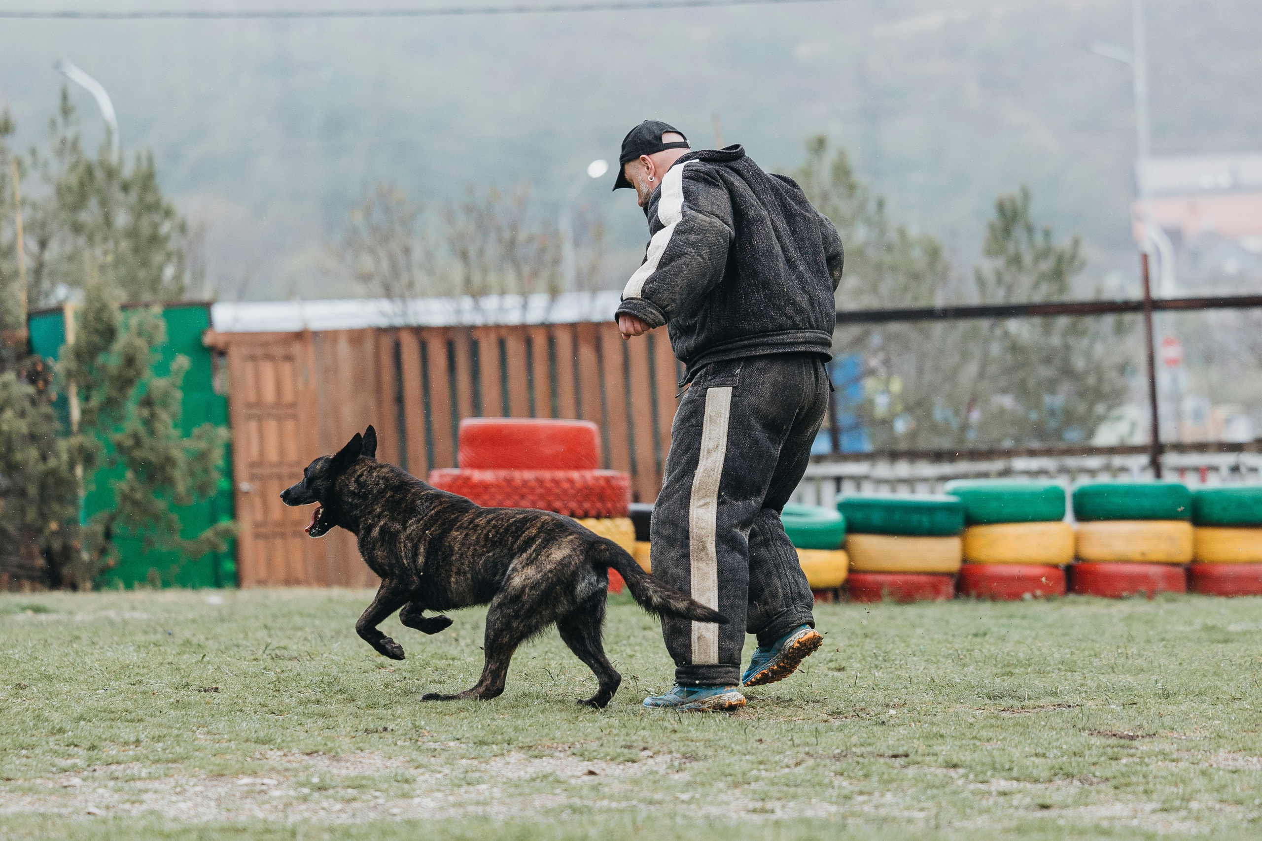 Геленджик Мондьоринг. Фотограф-анималист Анна Маринич