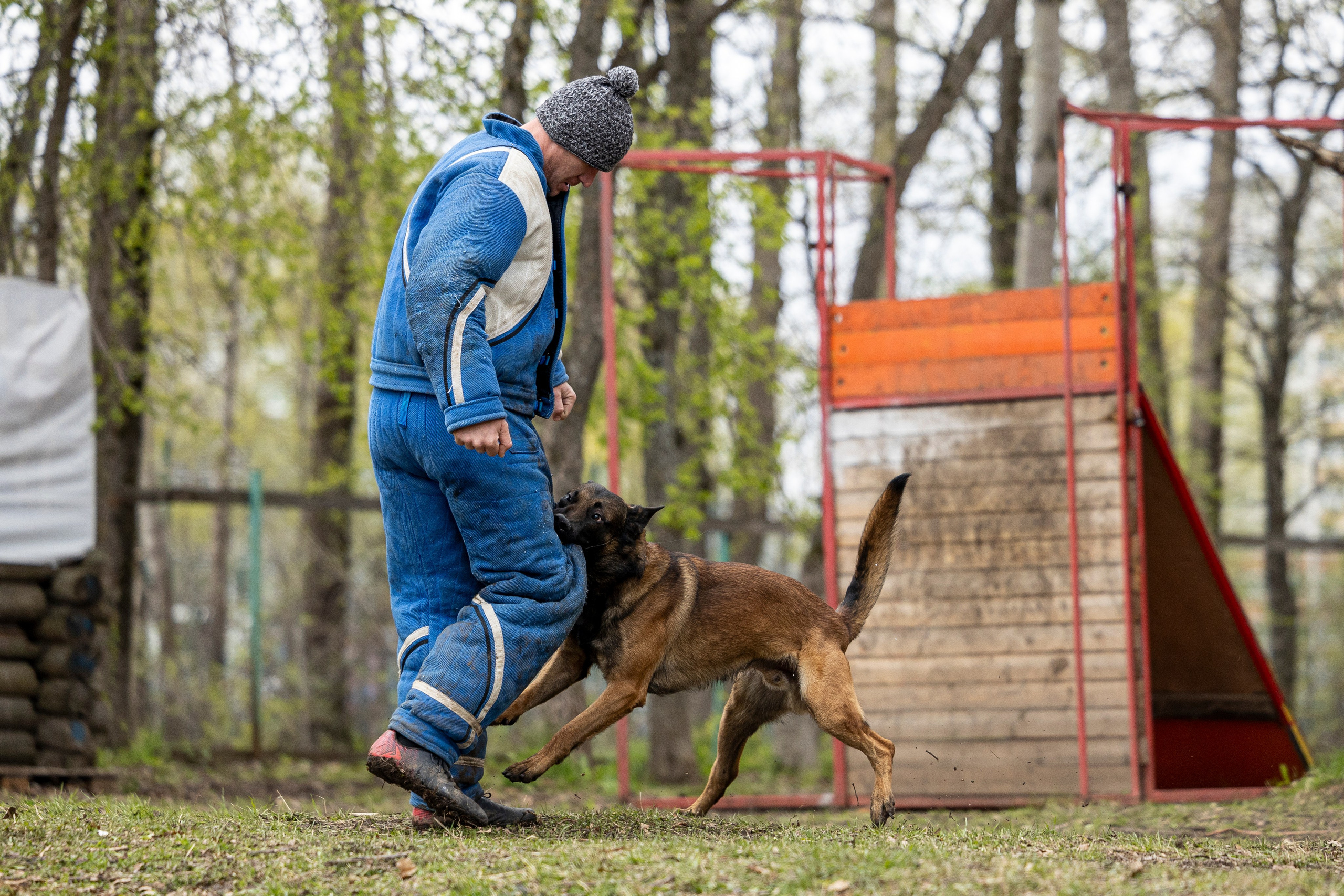 Квалификационные состязания по мондьорингу г. Вологда 11.05.24. Фотограф-анималист Анна Маринич