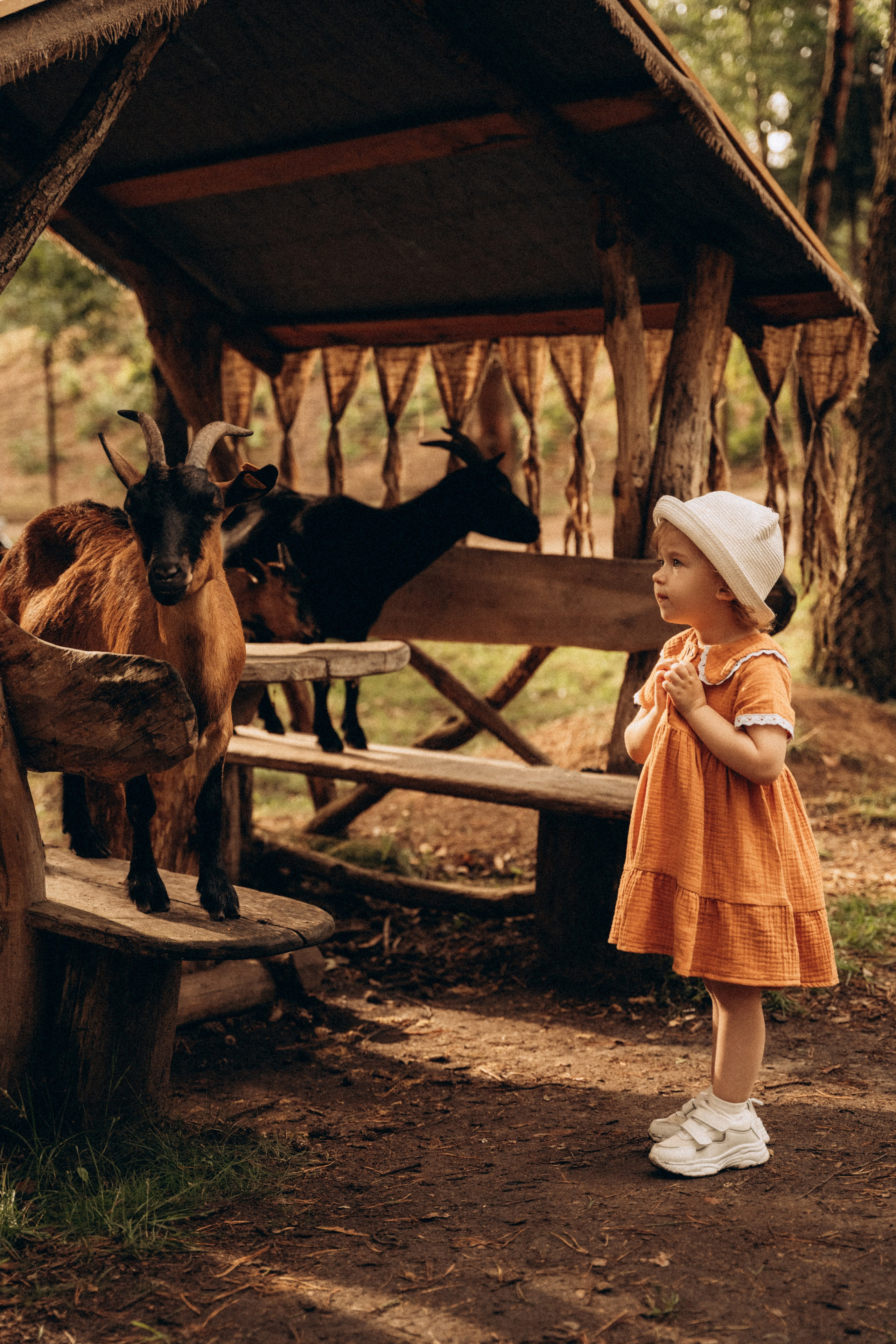 Аришка. Фотограф Мария Миллс | Минск