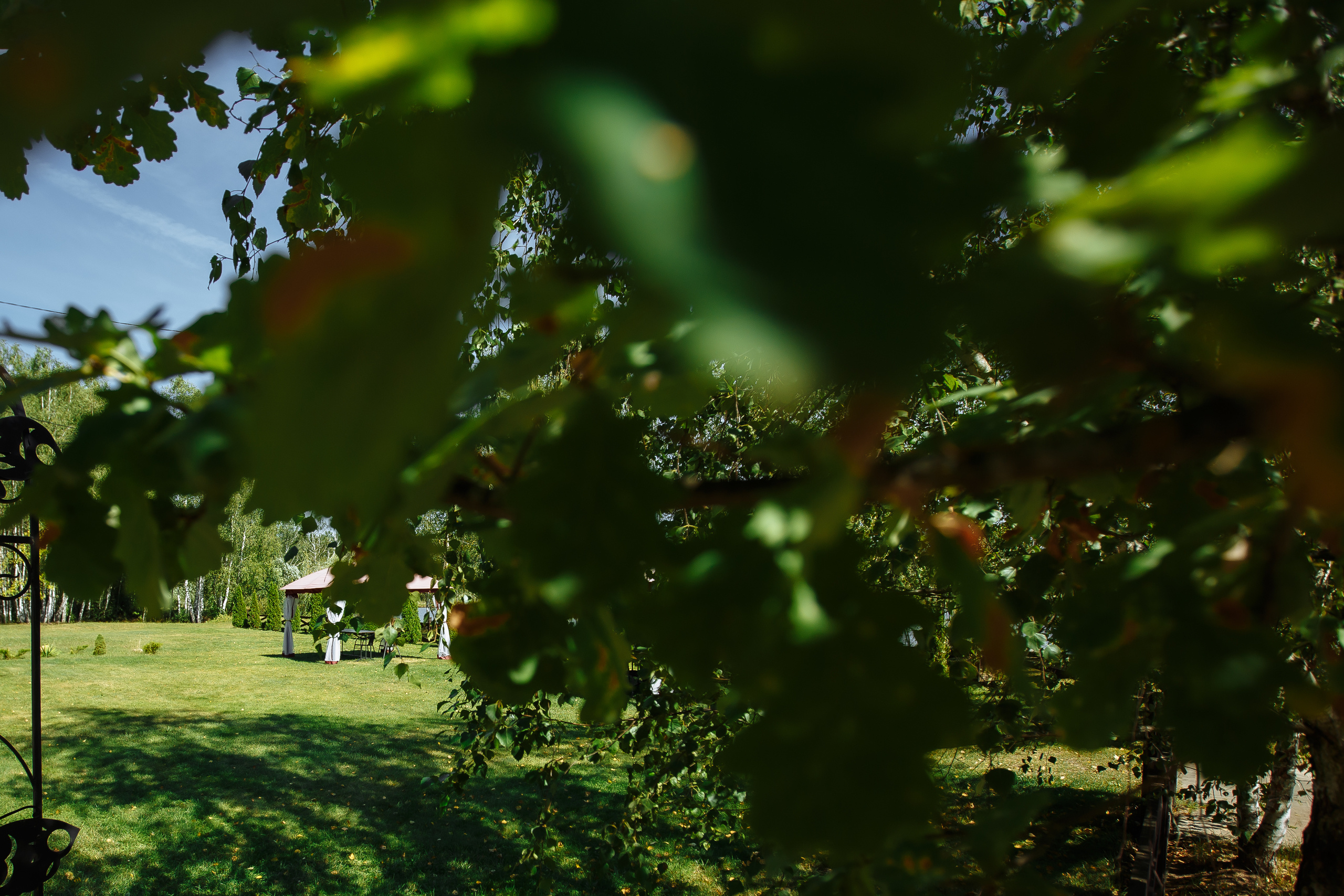 Свадьба Валерии и Романа. Фотограф Петр Капралов