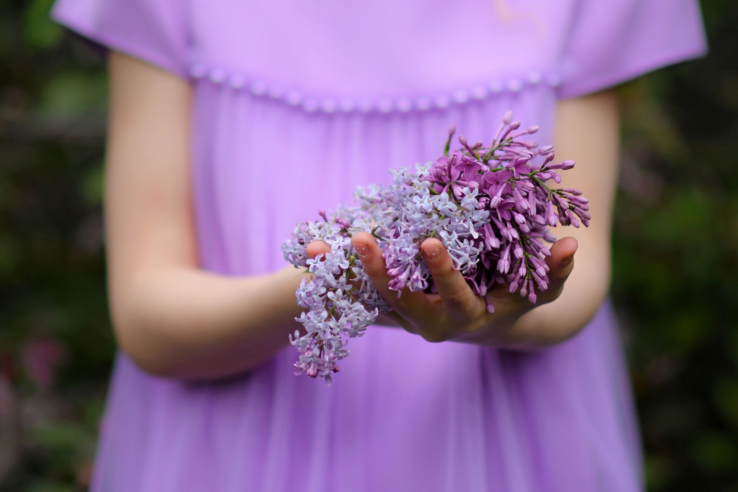 Весна. Фотограф Ольга Холина|Дебальцево