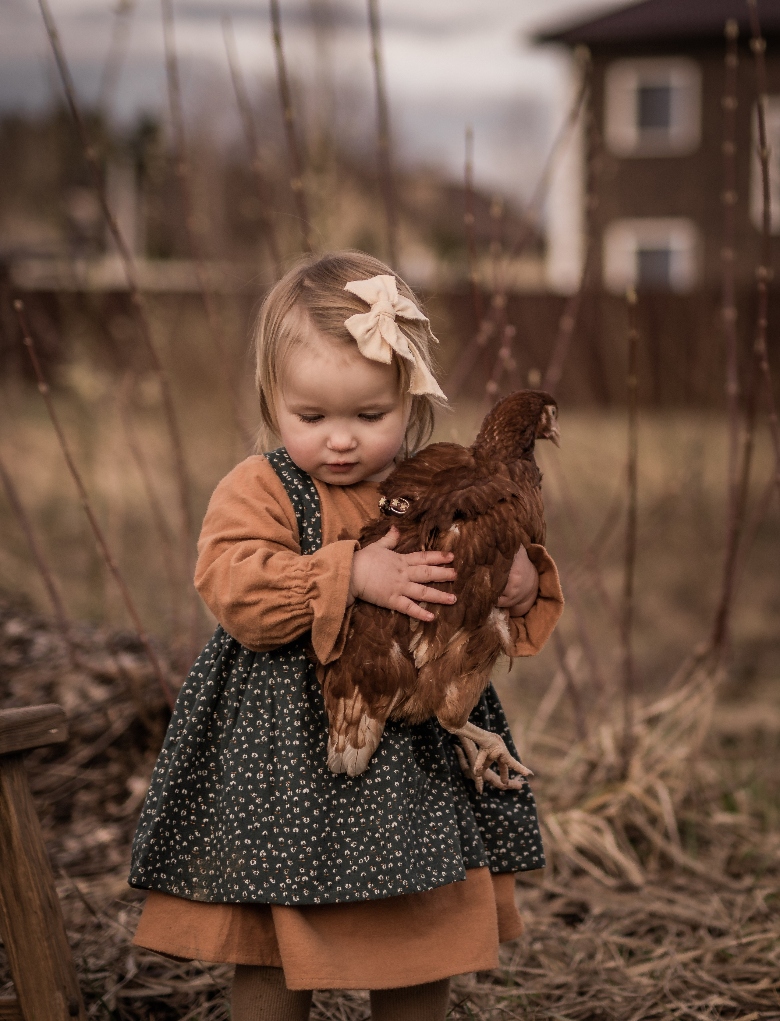 Куриная история. Семейный фотограф Ефремова Виктория