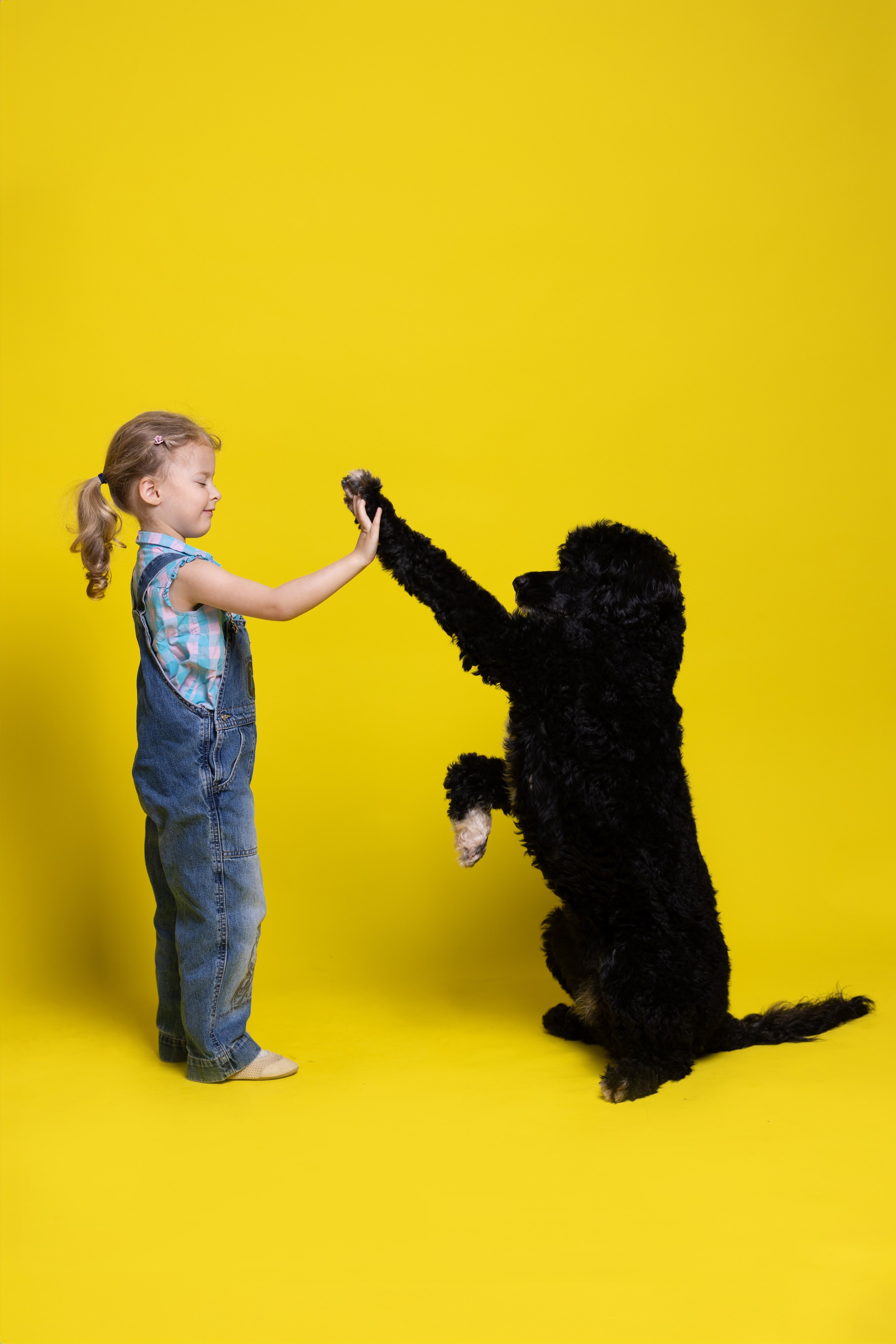 Гретта и Рой. Фотограф анималист Кристина Карпова, Москва