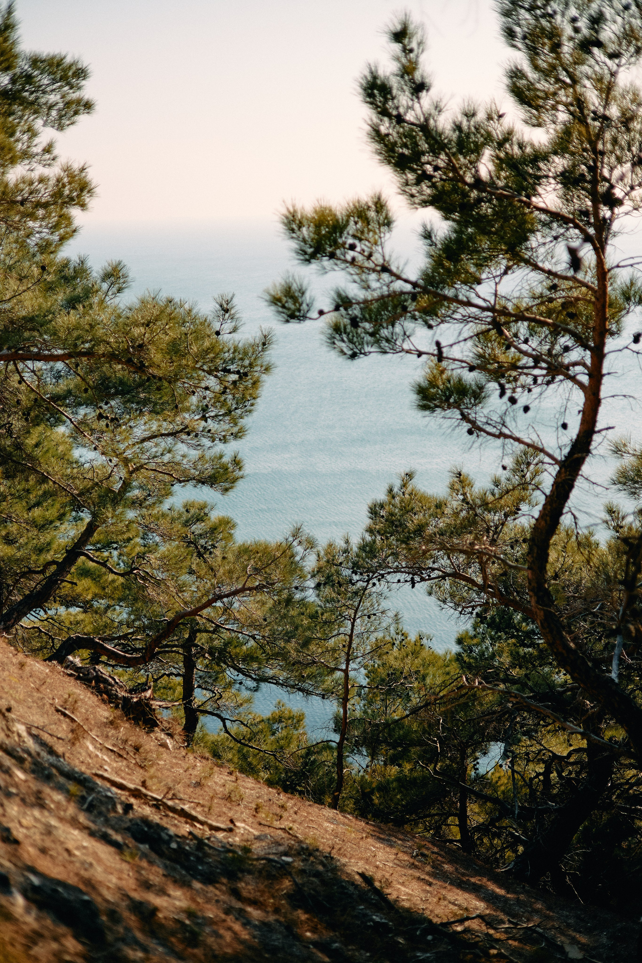 Юг России. Профессиональный Фотограф во Владимире, в Москве и в Суздале — Полина Романычева