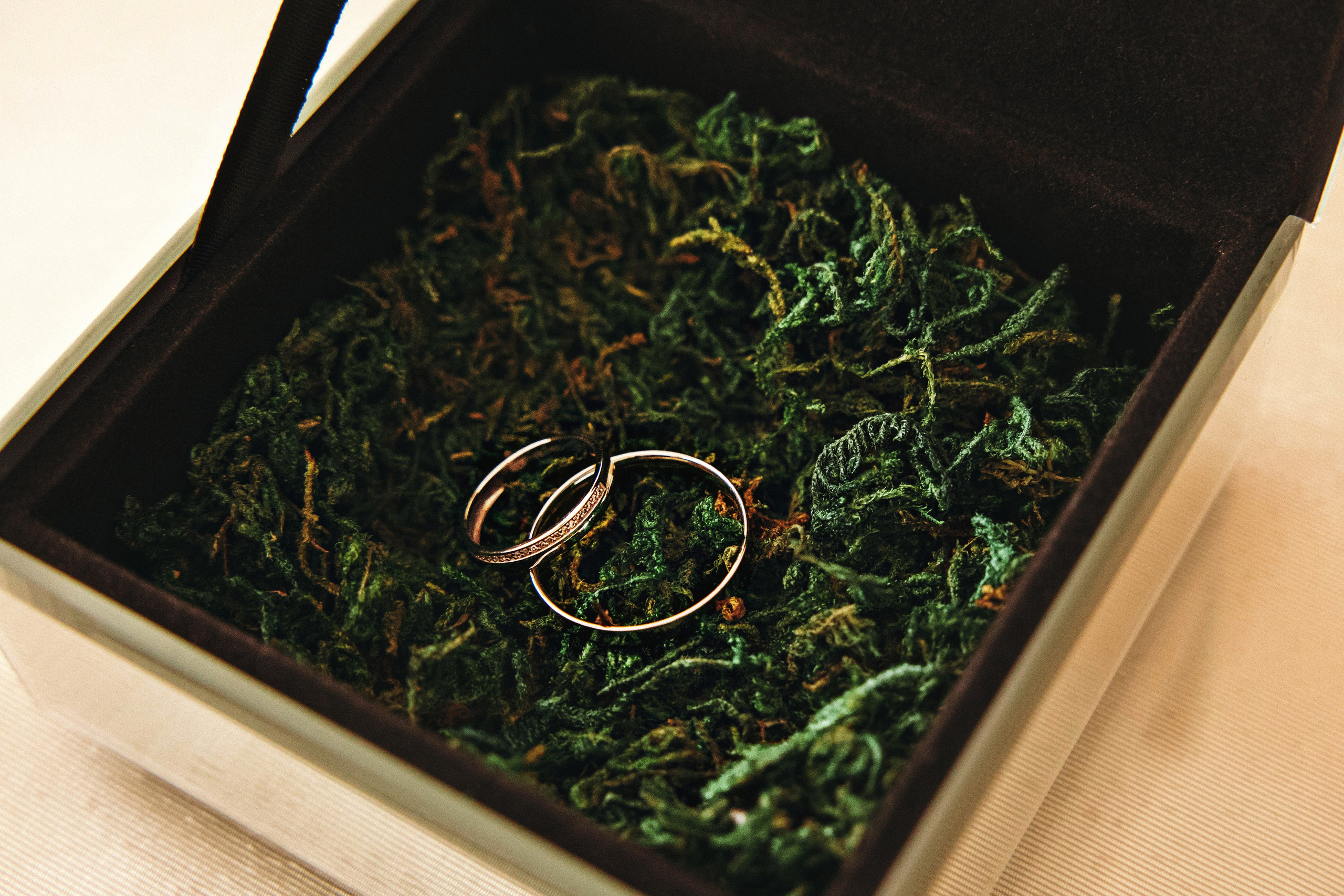 Никита и Лиза. Фотограф в Ставрополе Алина Клочкова