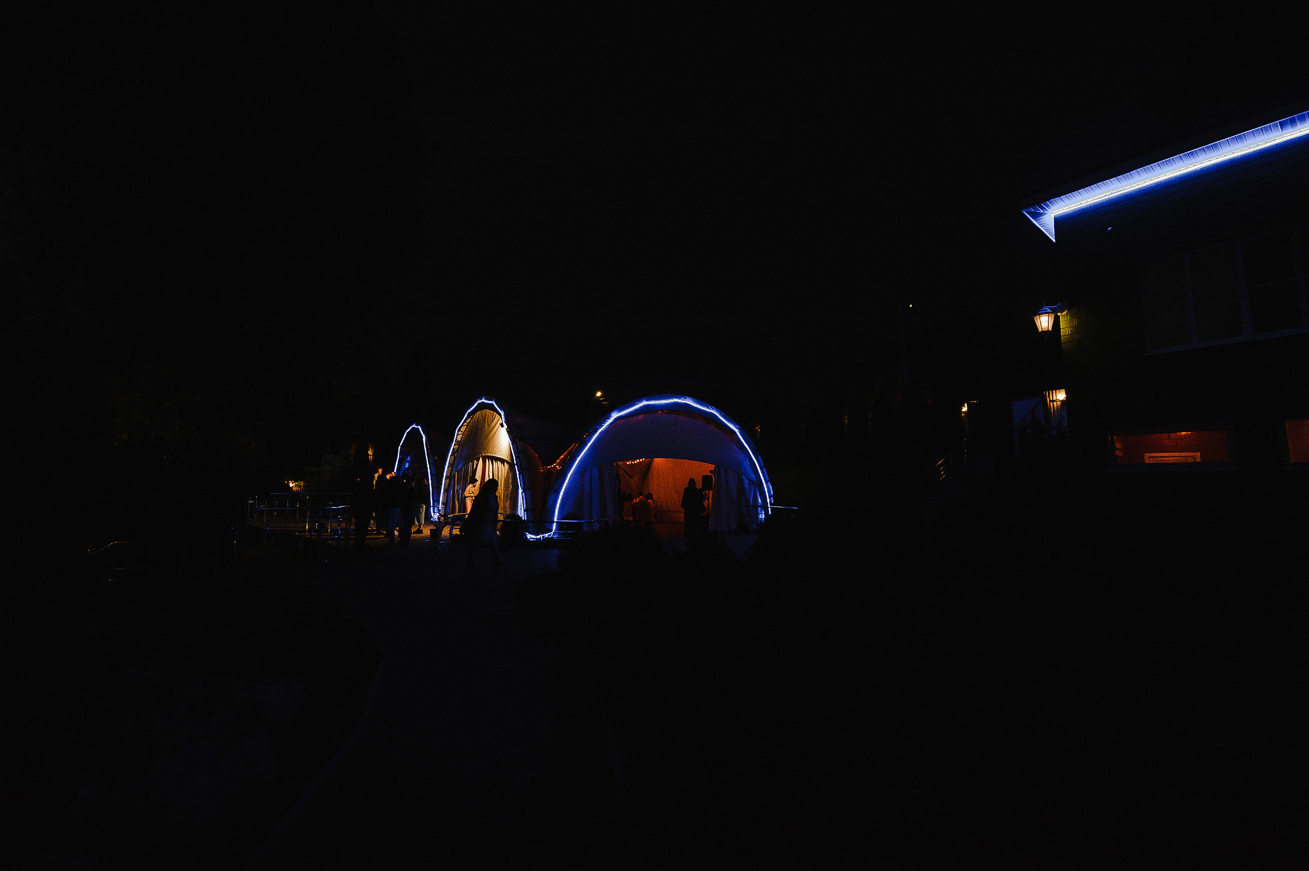 Дмитрий и Алёна. Свадебный фотограф в Москве Алексей Тук