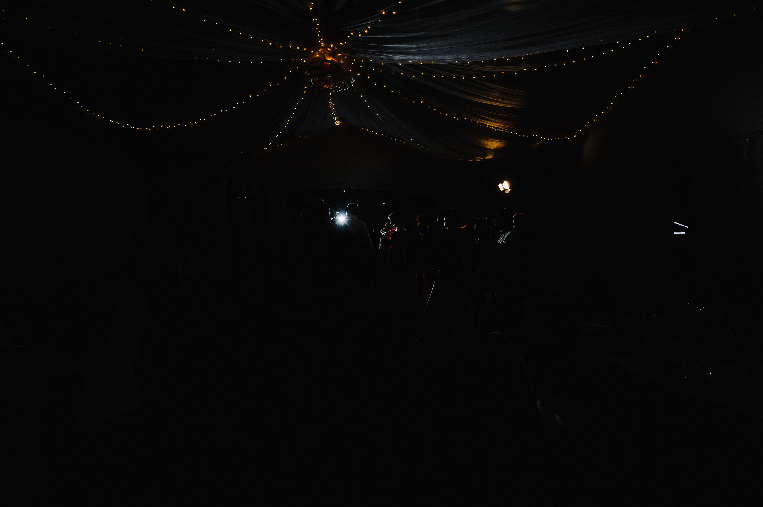 Дмитрий и Алёна. Свадебный фотограф в Москве Алексей Тук