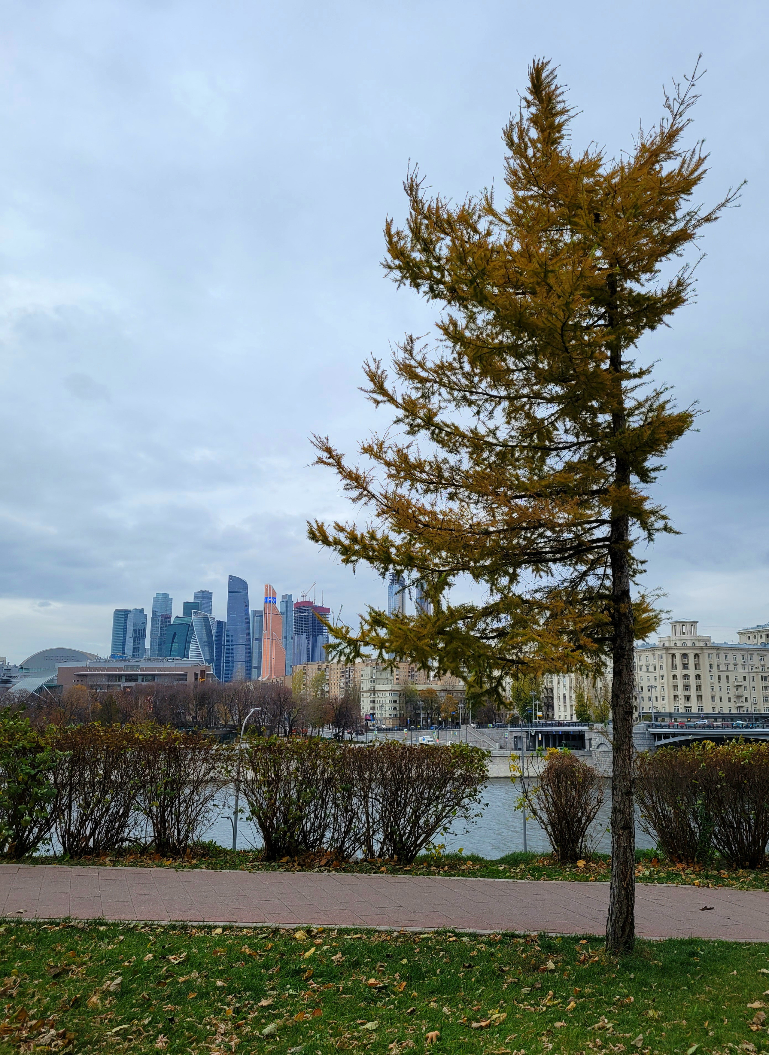 Ростовская набережная, напротив Киевского вокзала