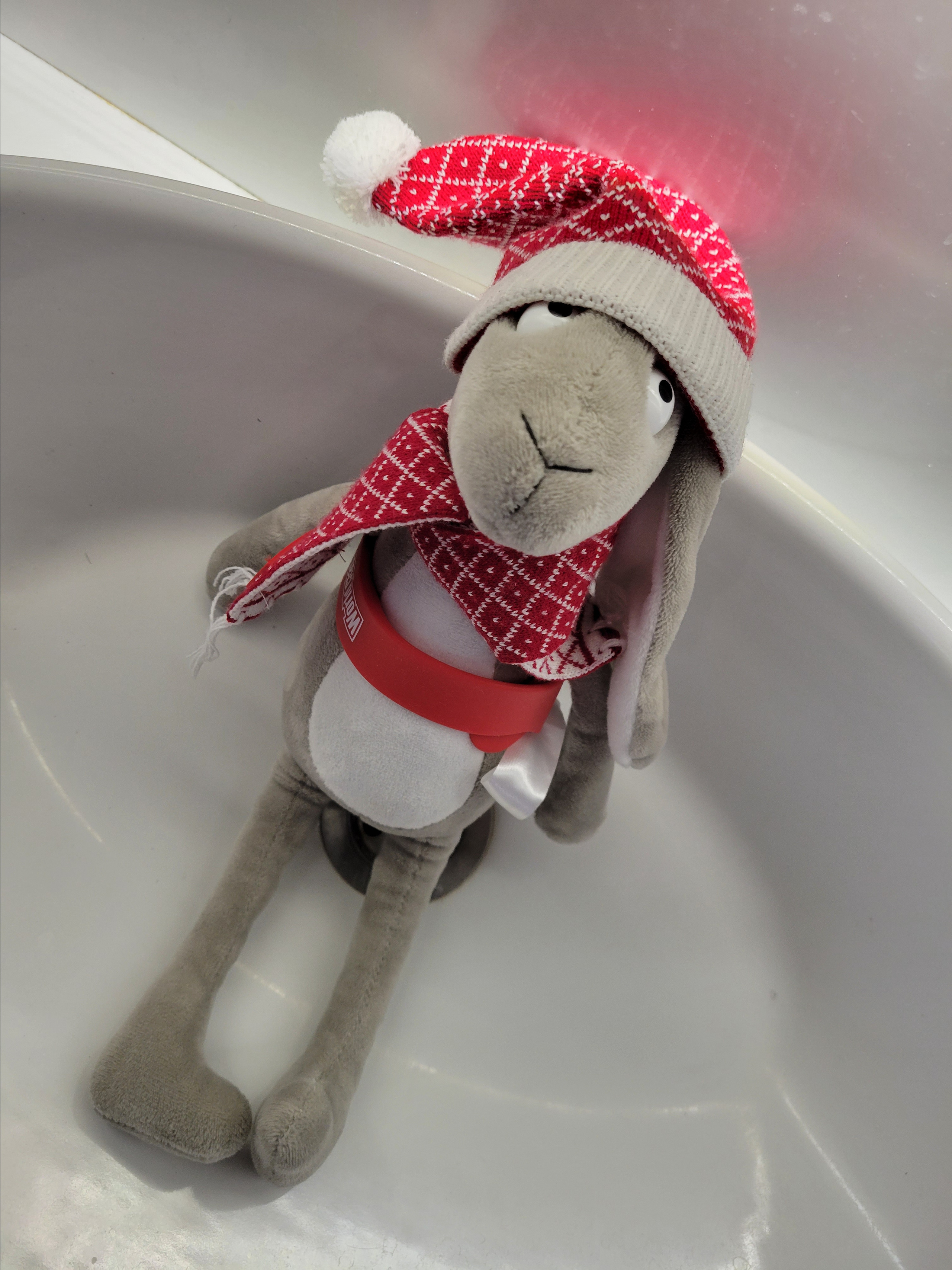 Зая стал активно ходить в бассейн