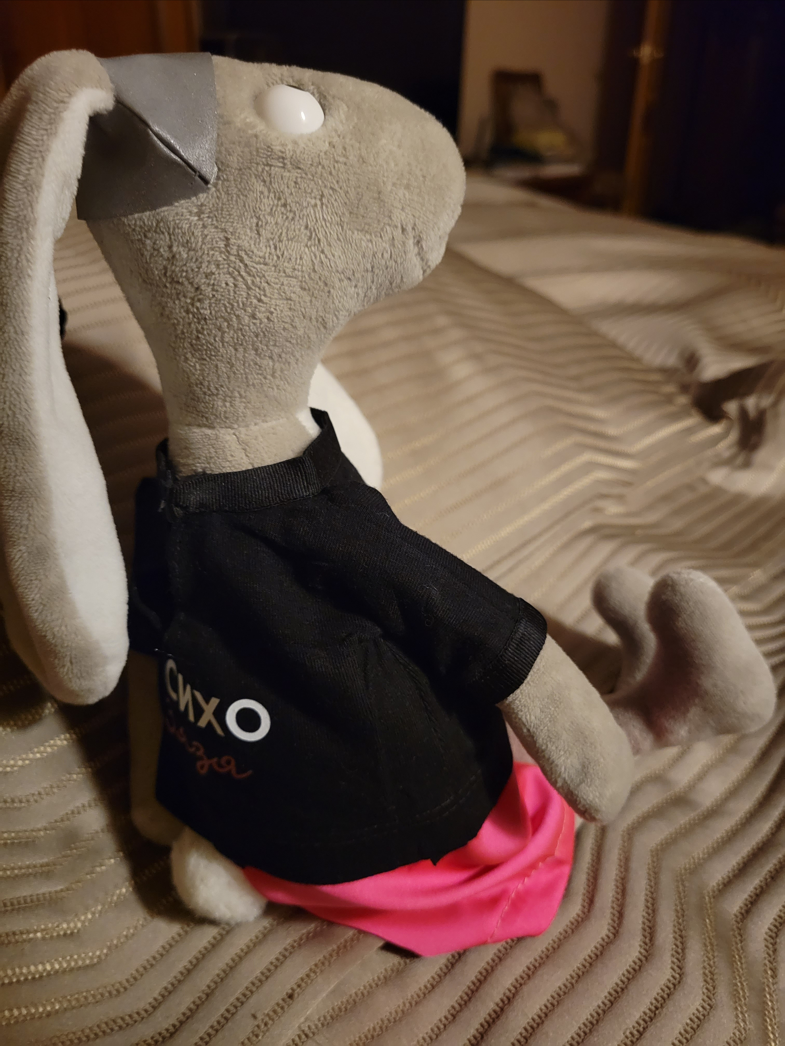 Сшила фирменную футболку для ПСИХО Зязи 