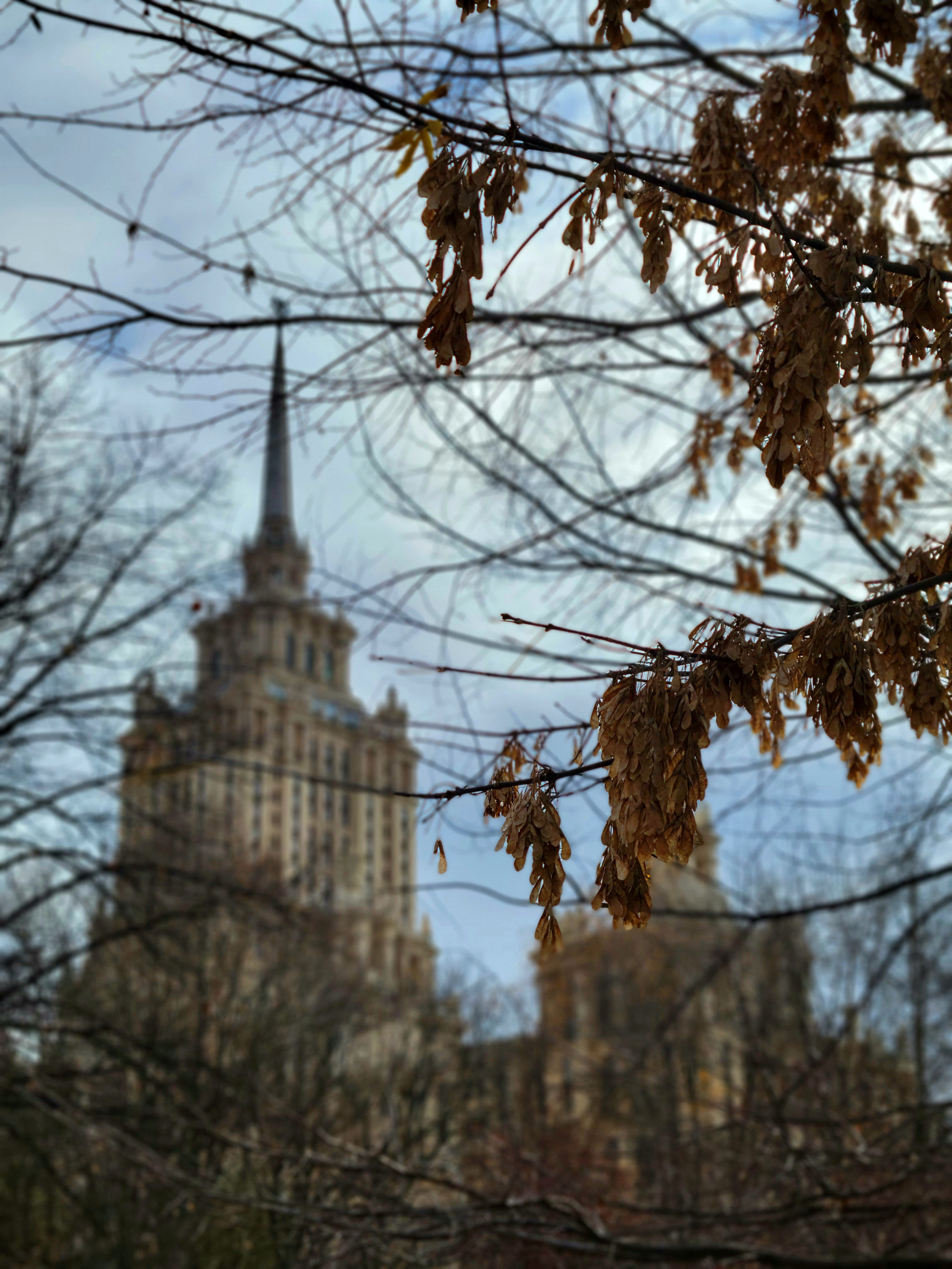 По дороге на любимую набережную Тараса Шевченко снял небоскребы прошлого столетия