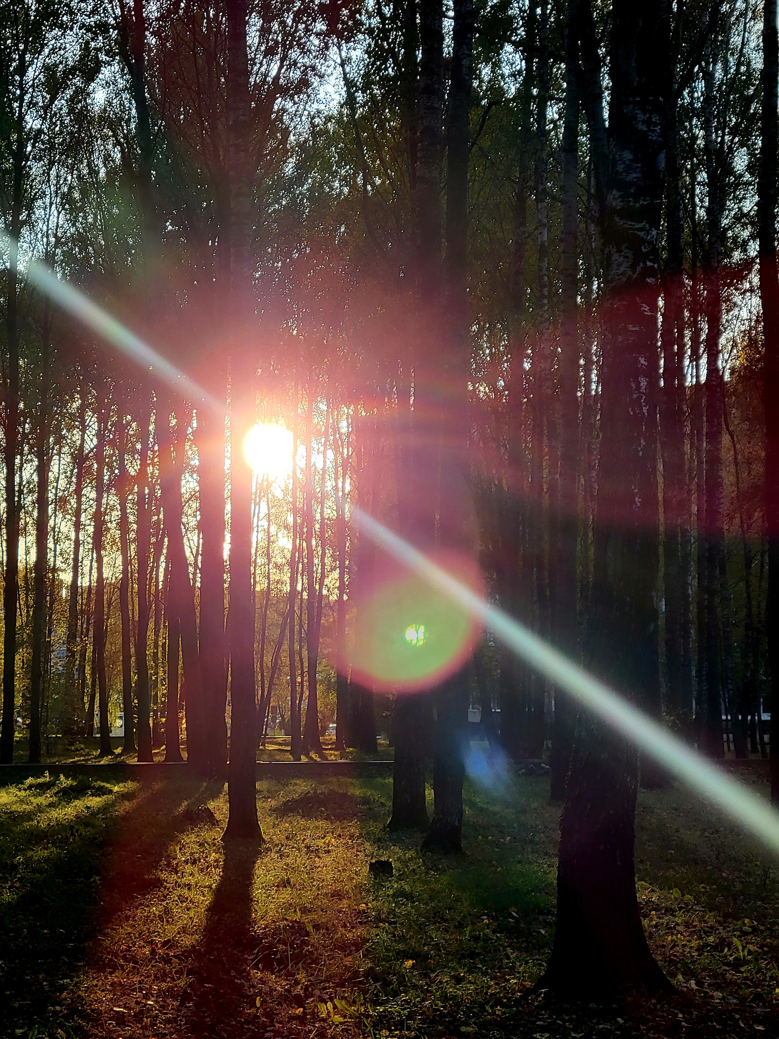 Выглянуло солнышко, но ветер только усиливался. В итоге дистанции больше 1 мили поменяли. 3 км почти совпали с милей, были по ветру и почти без волн