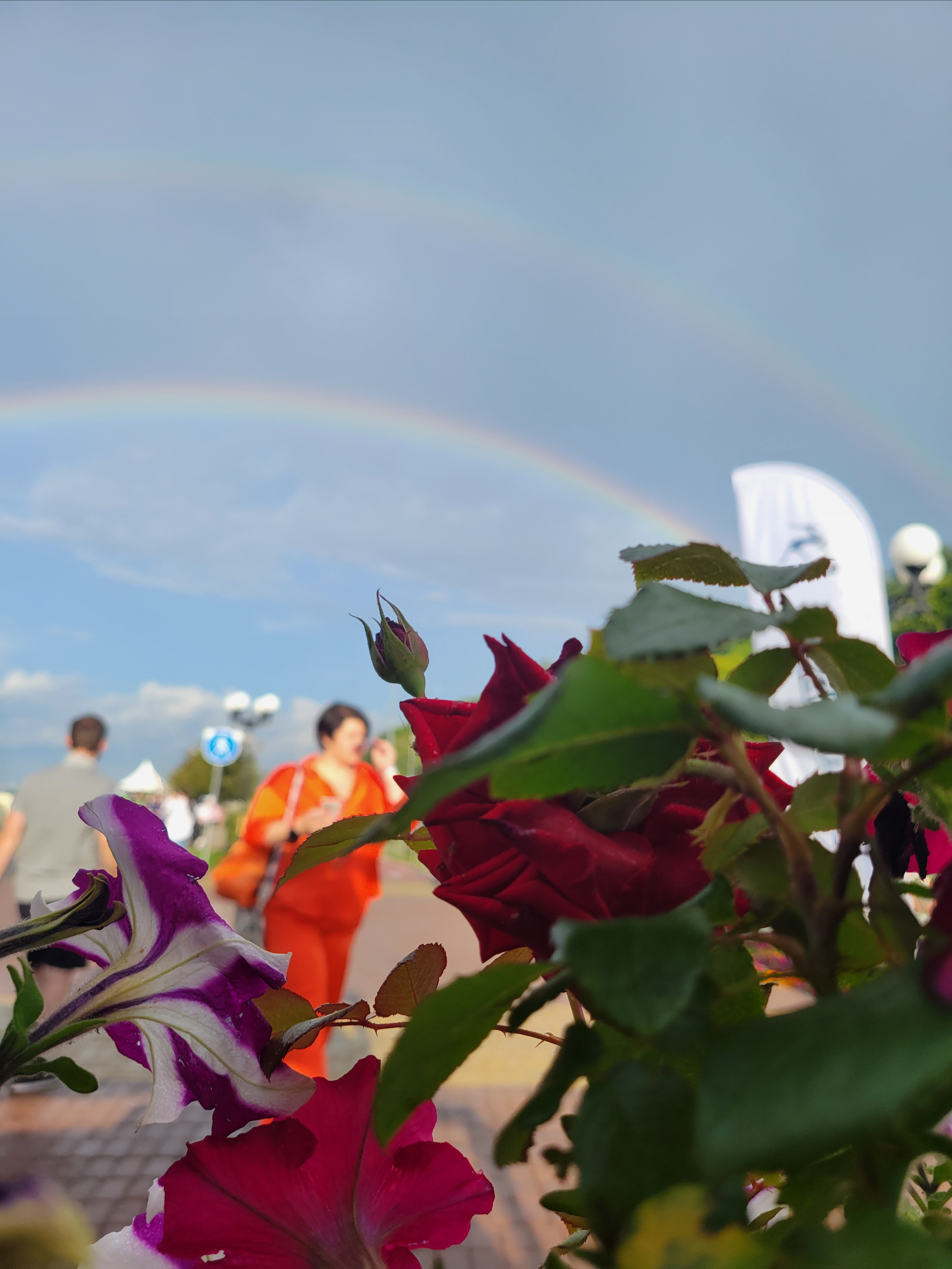 На улице стояла жара, но вдруг, ливанул дождина. Как начался, так и прошел, перекинув через Волгу радугу