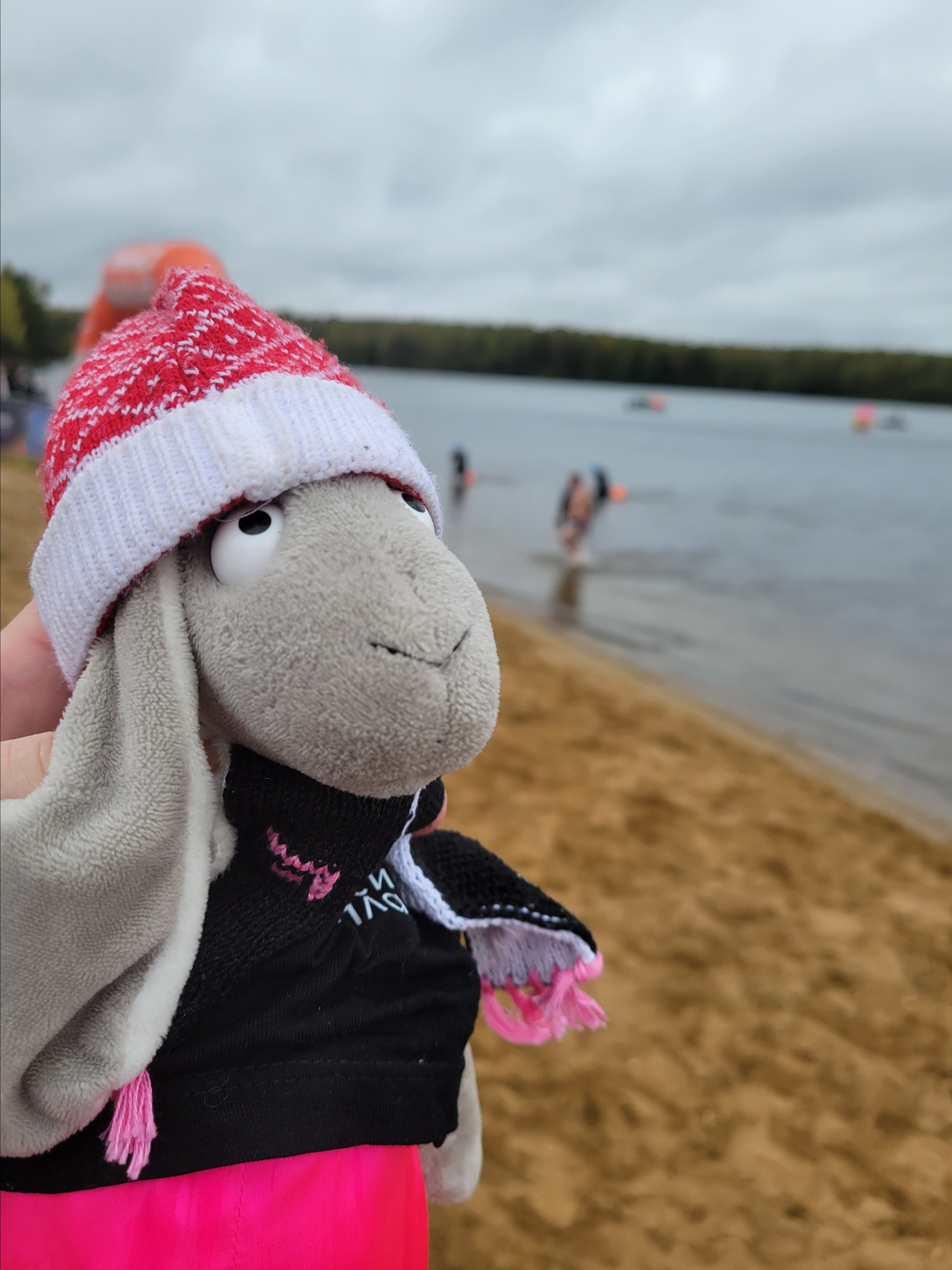 Шапочку ГлавПсихПлава он забыл, грелся в старой. Но новая уже готова, скоро приедет