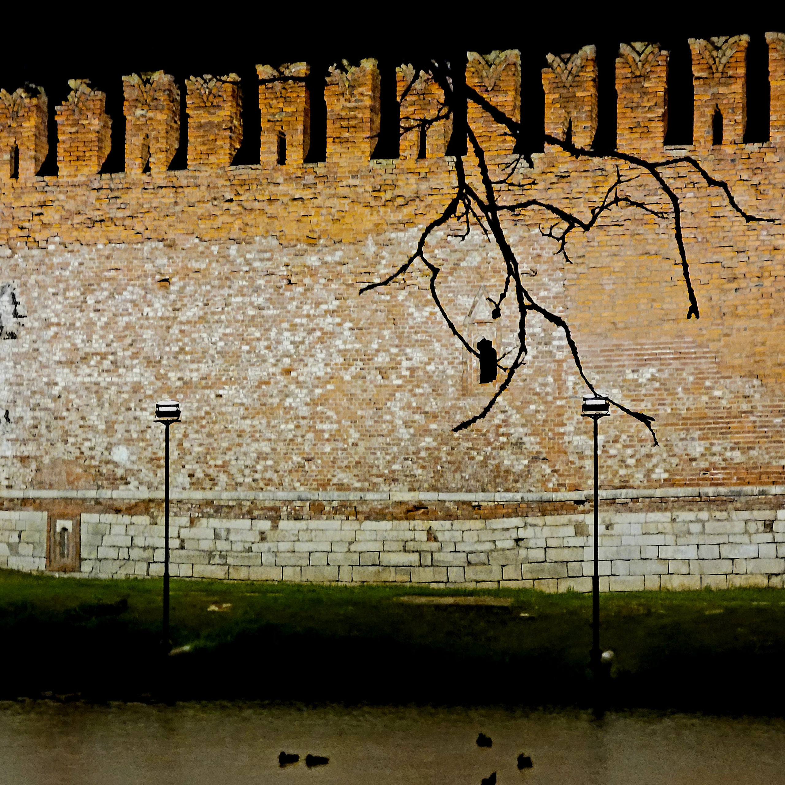 Ветка "расколола" стену города