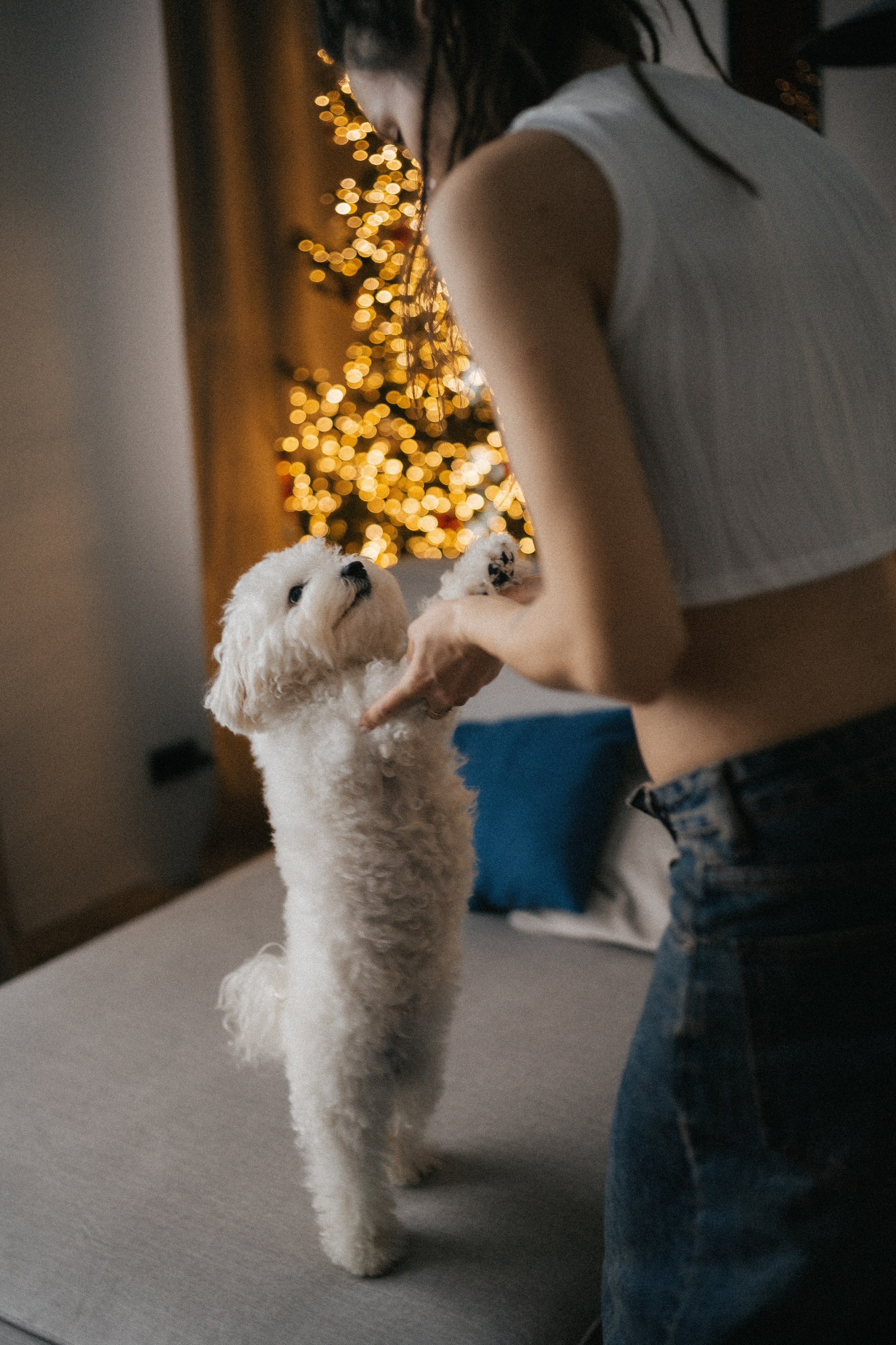 Ефим и Алена. Семейный, портретный фотограф Новосибирск. Оля Адова