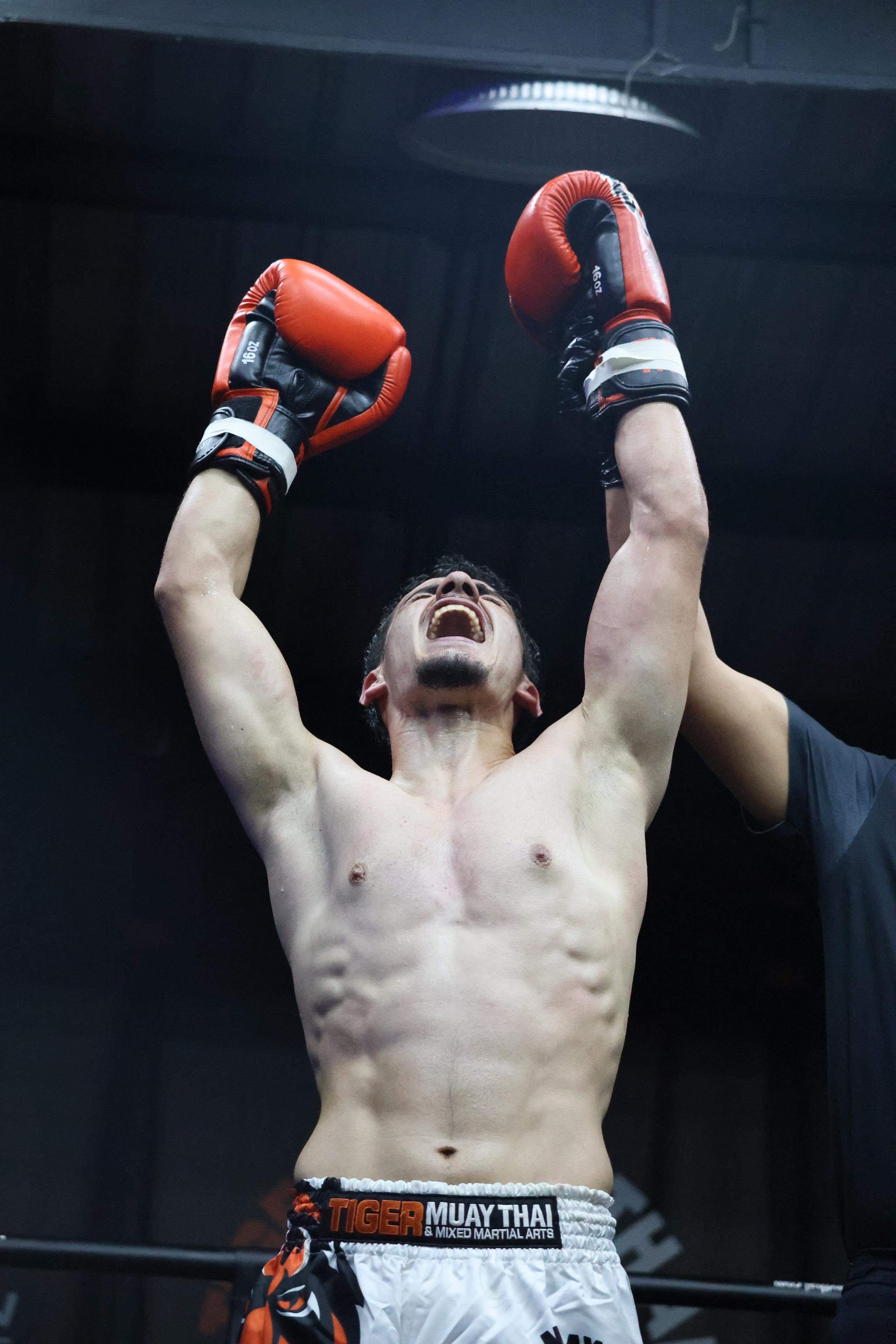 Услуги. Савина Анна Москва — Петербург