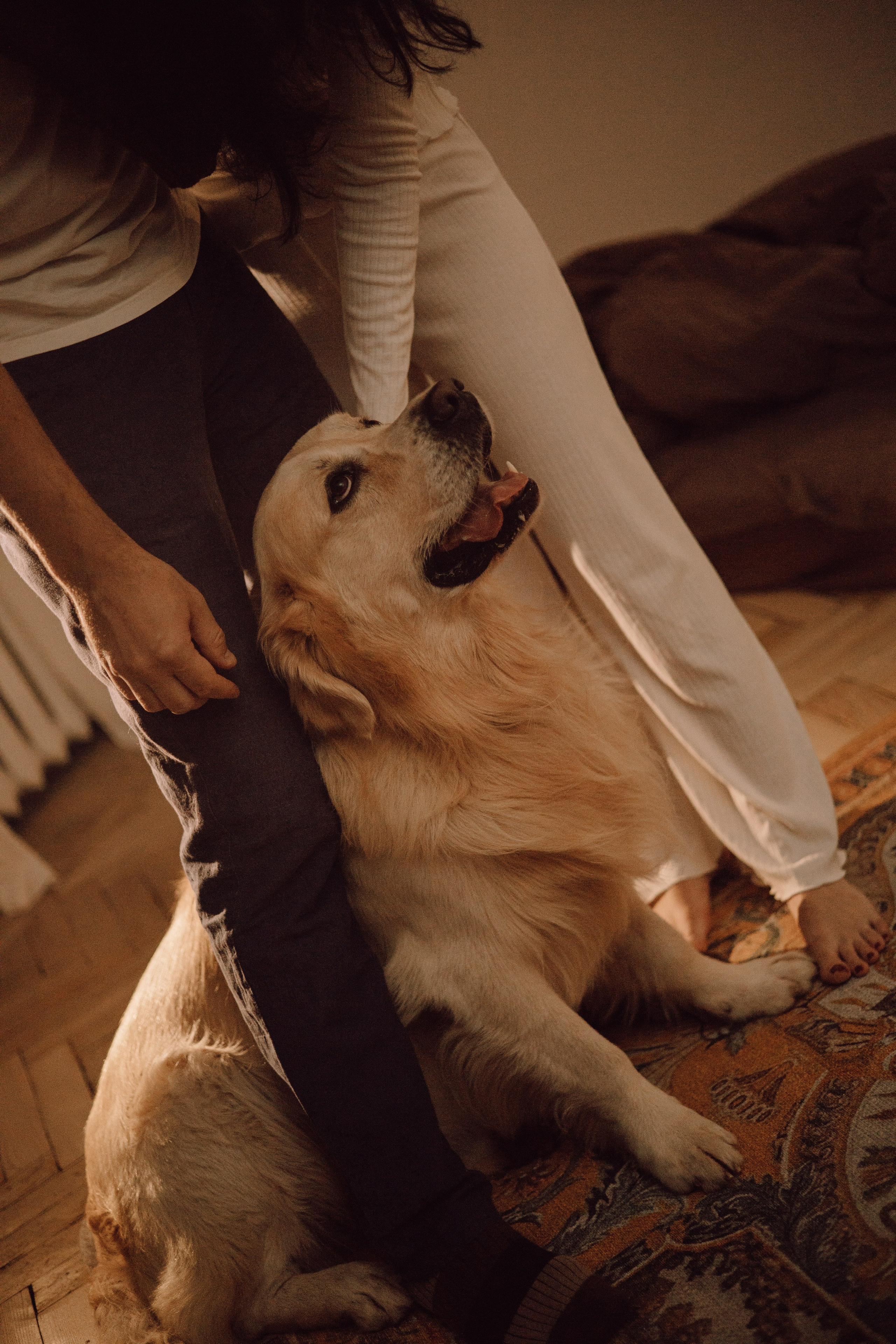 Лёва и его семья. Фотограф — анималист •love-story•|Санкт-Петербург