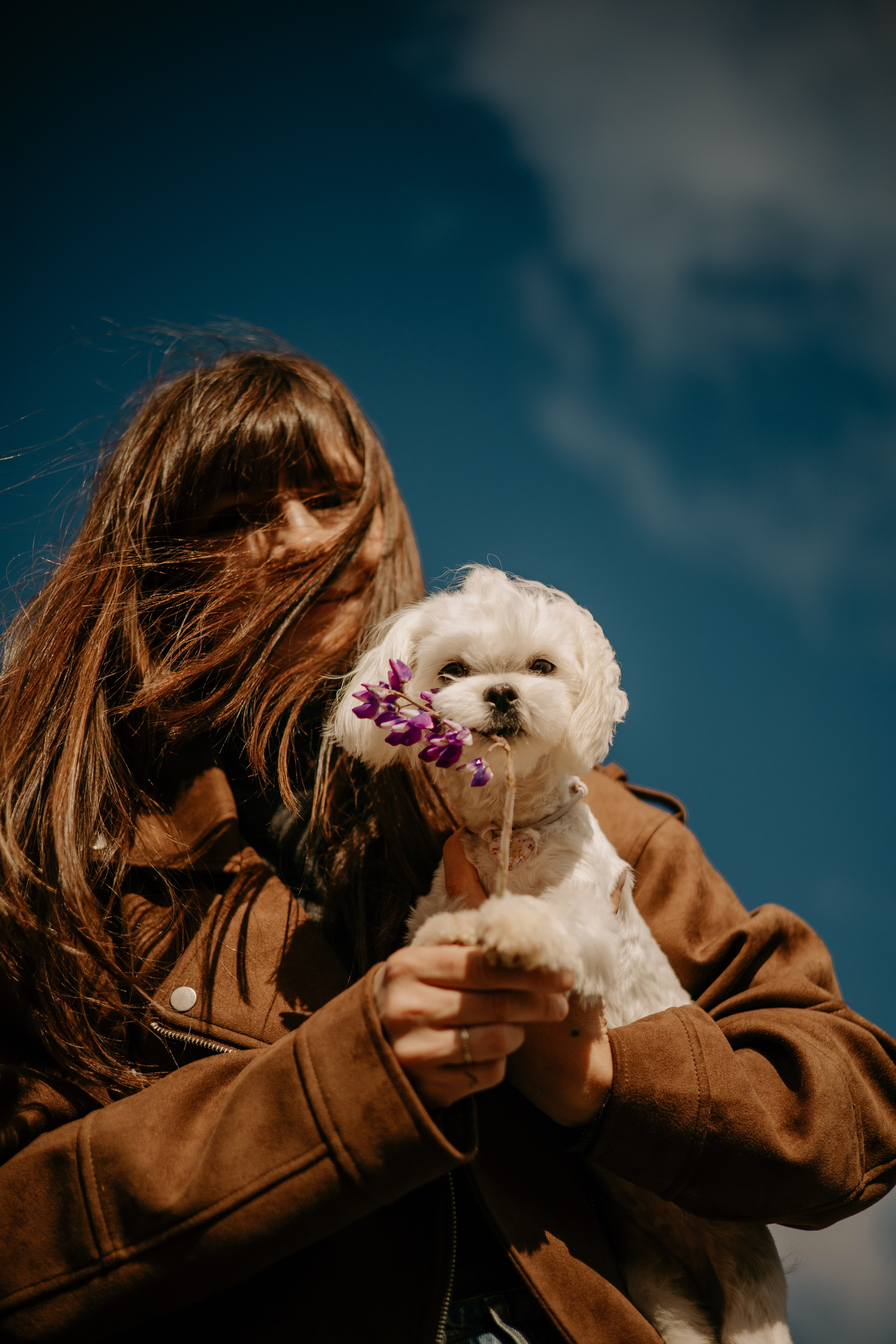 Любовь & Белла. Фотограф — анималист •love-story•|Санкт-Петербург