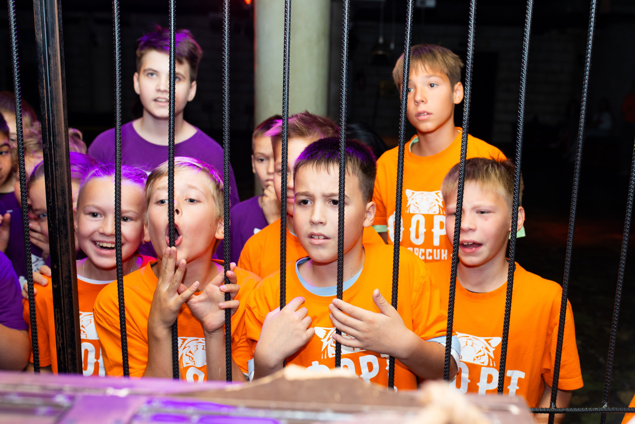 Форт Боярд. Фотограф в Новосибирске Ася Зверева