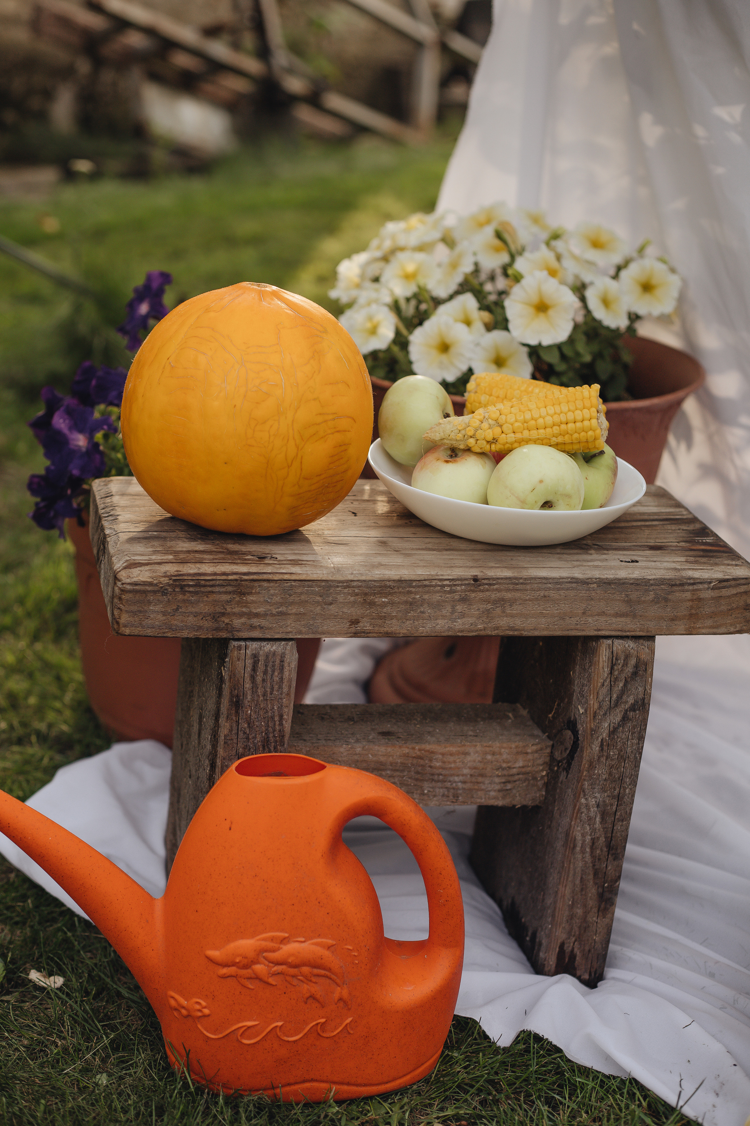 Тема. Фотограф Малофеева Алина