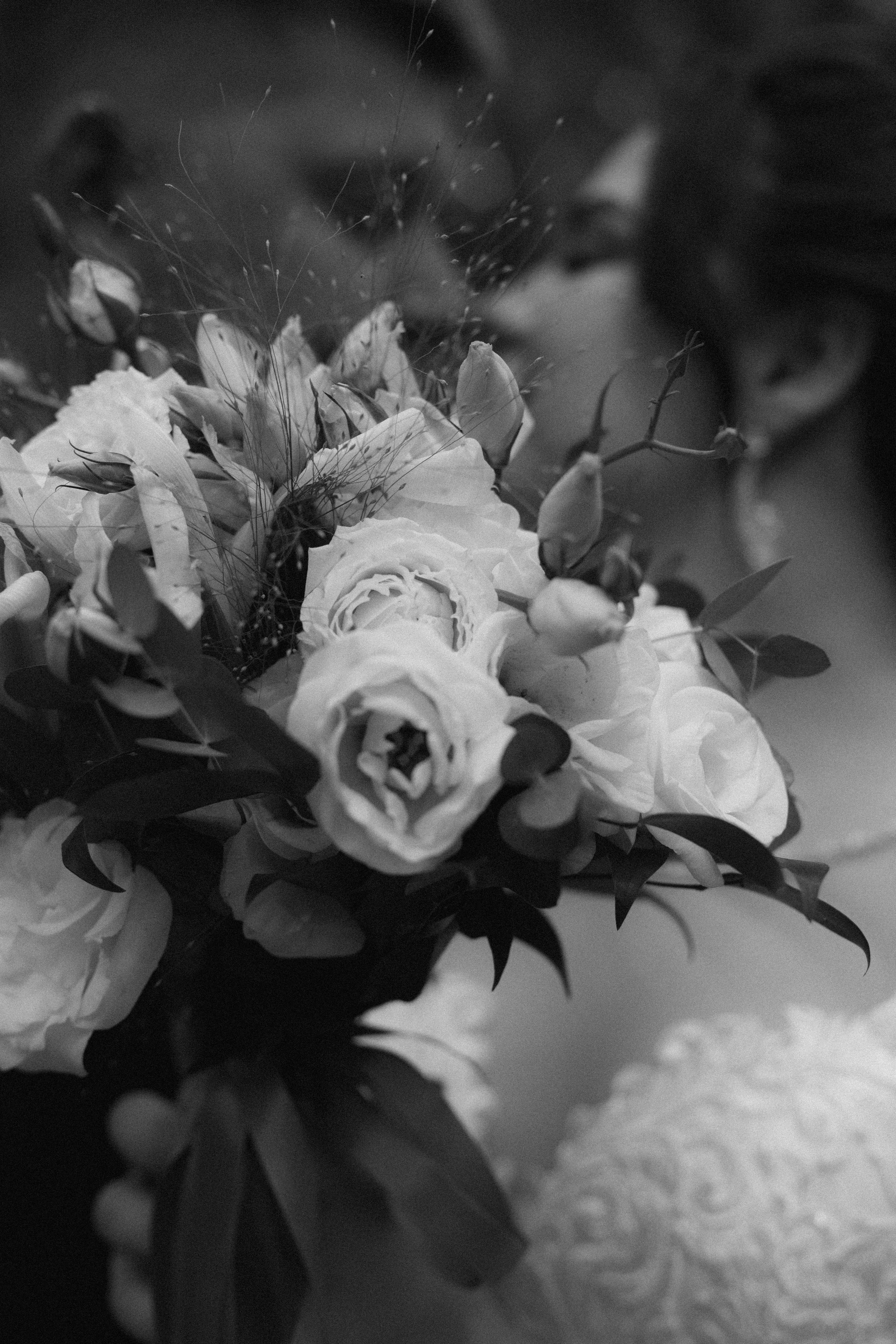 Ангелина & Григорий. Фотограф Малофеева Алина