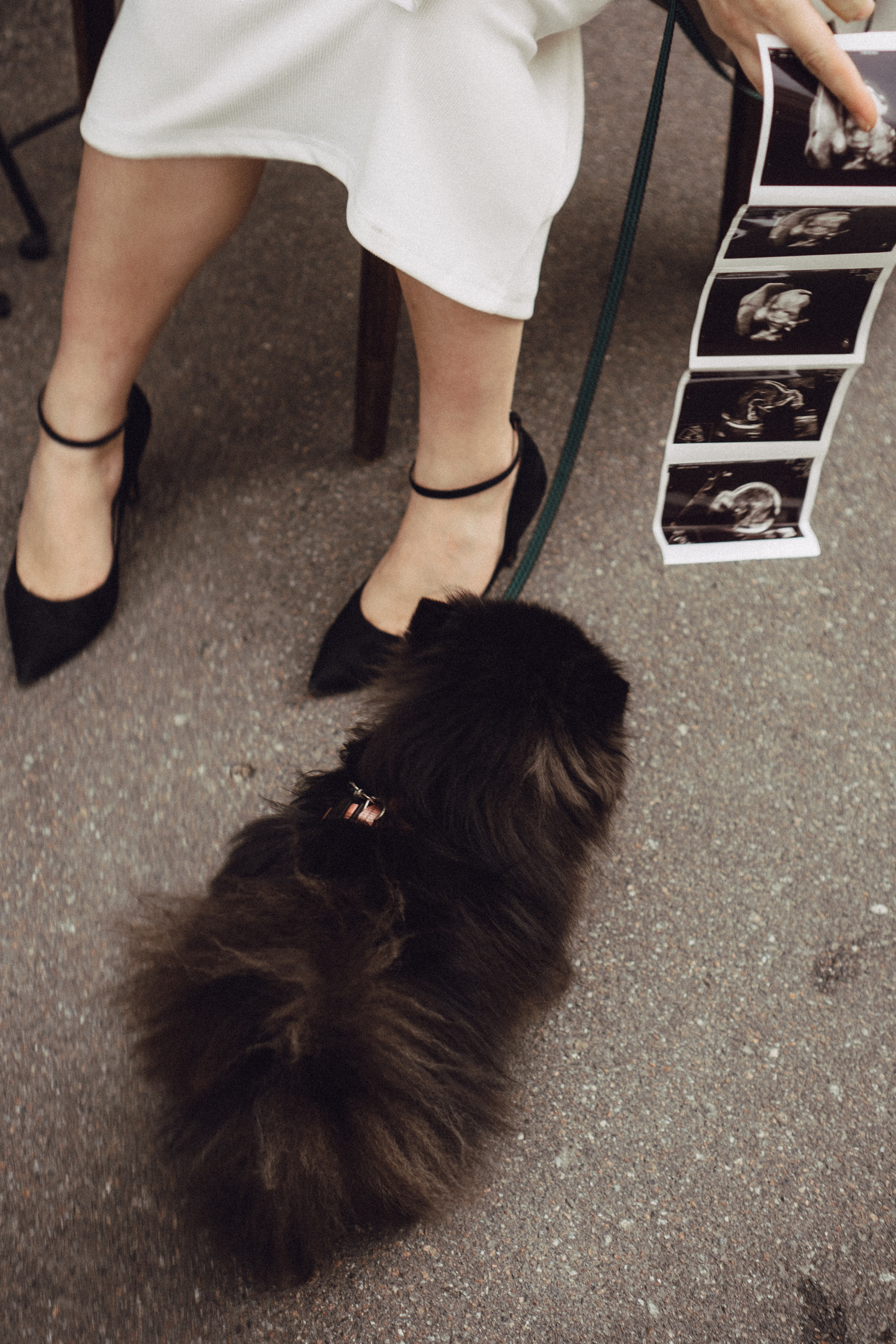 Беременность (только часть фото по желанию клиентов могу показать)). Профессиональный фотограф, Санкт-Петербург — Виктория Богомолова