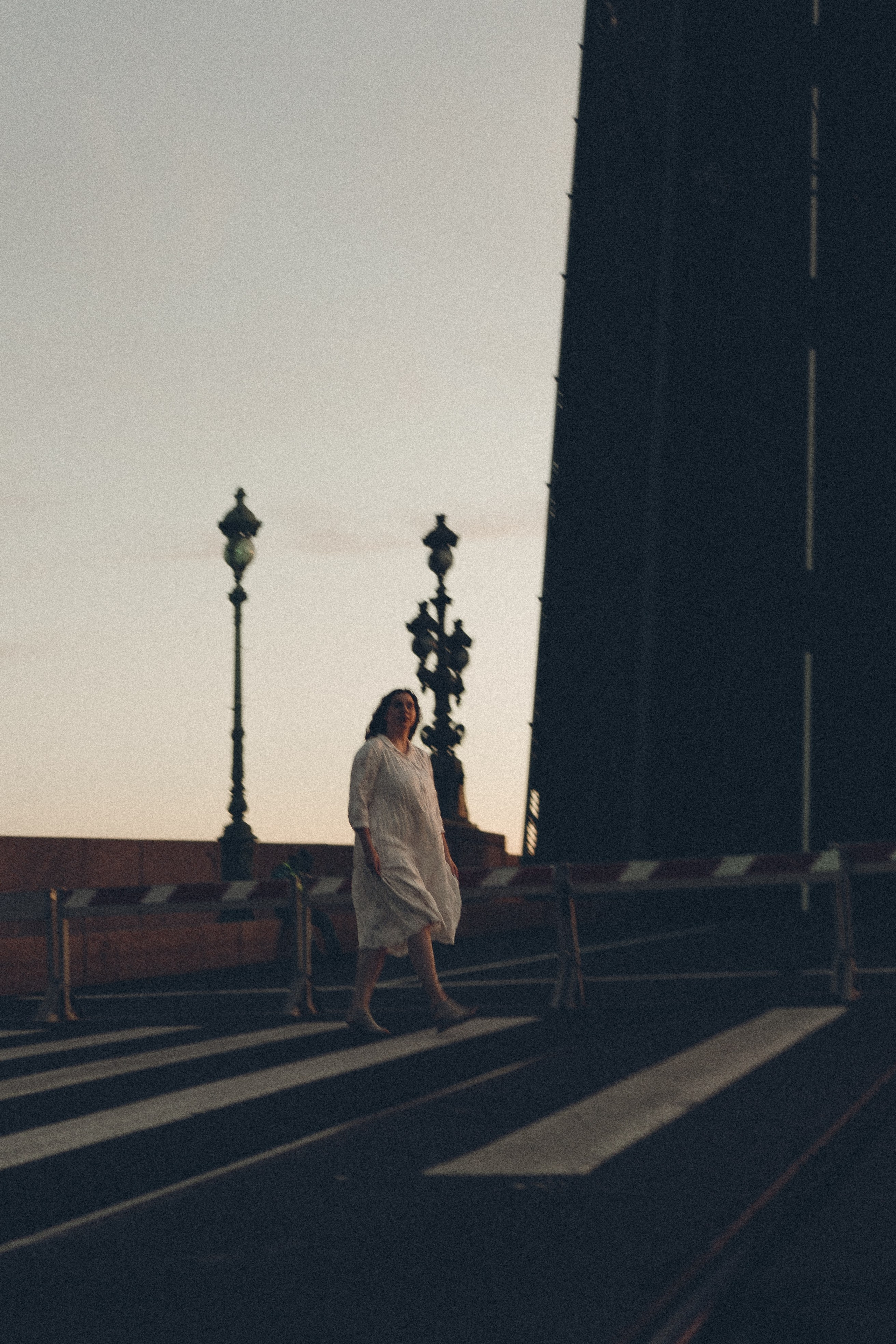 РАССВЕТ С РАЗВОДНЫМИ МОСТАМИ. Профессиональный фотограф, Санкт-Петербург — Виктория Богомолова