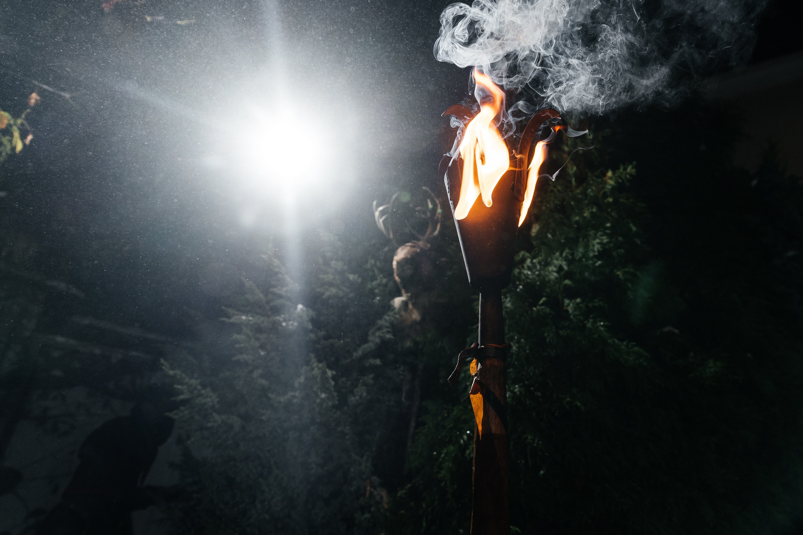 Корпоратив Helloween. Фотограф Новополоцк, Полоцк, Минск, РБ, Зимаков Егор