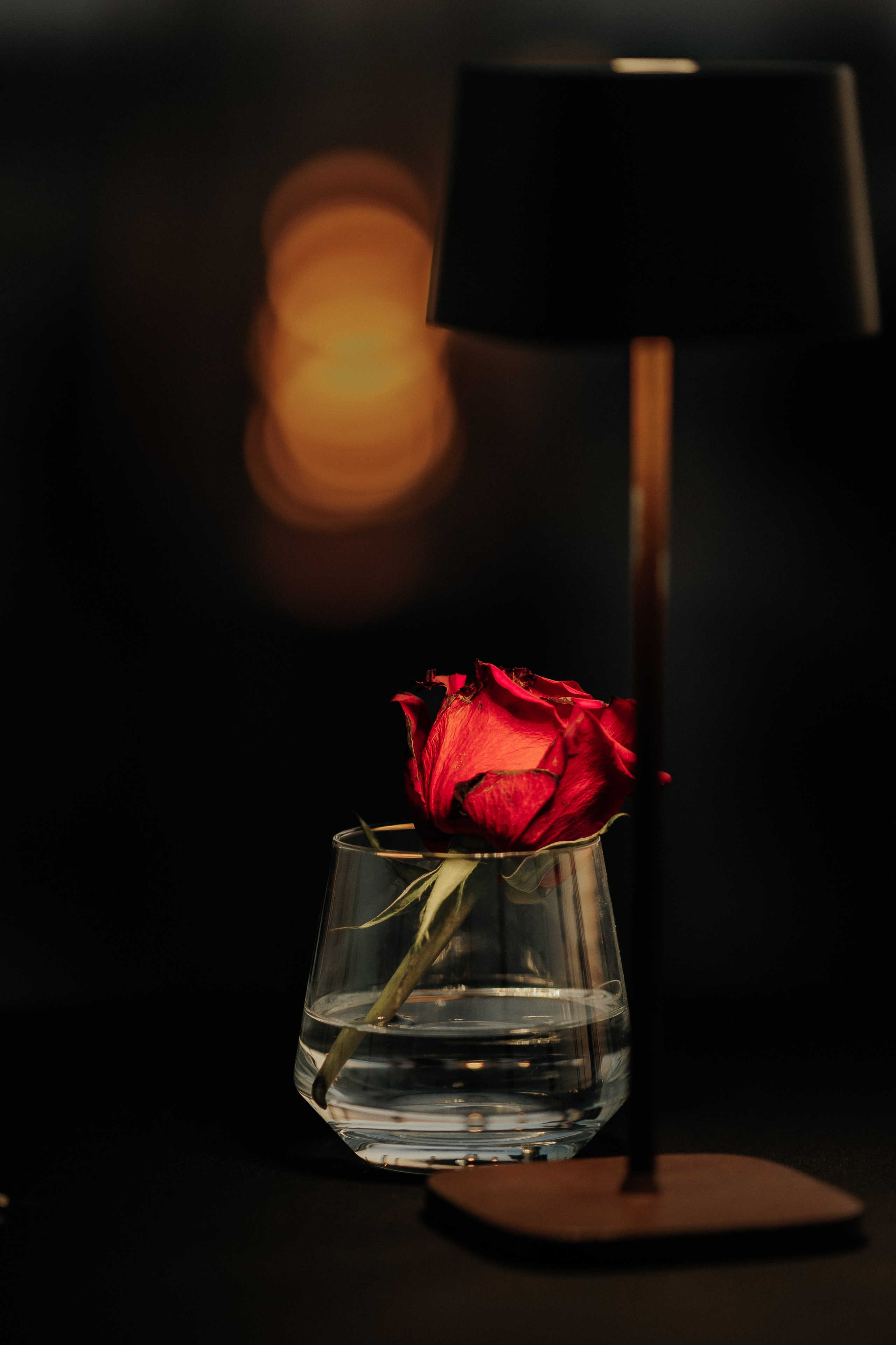 Poetry Evening. Фотограф на Кипре Наталья Годына
