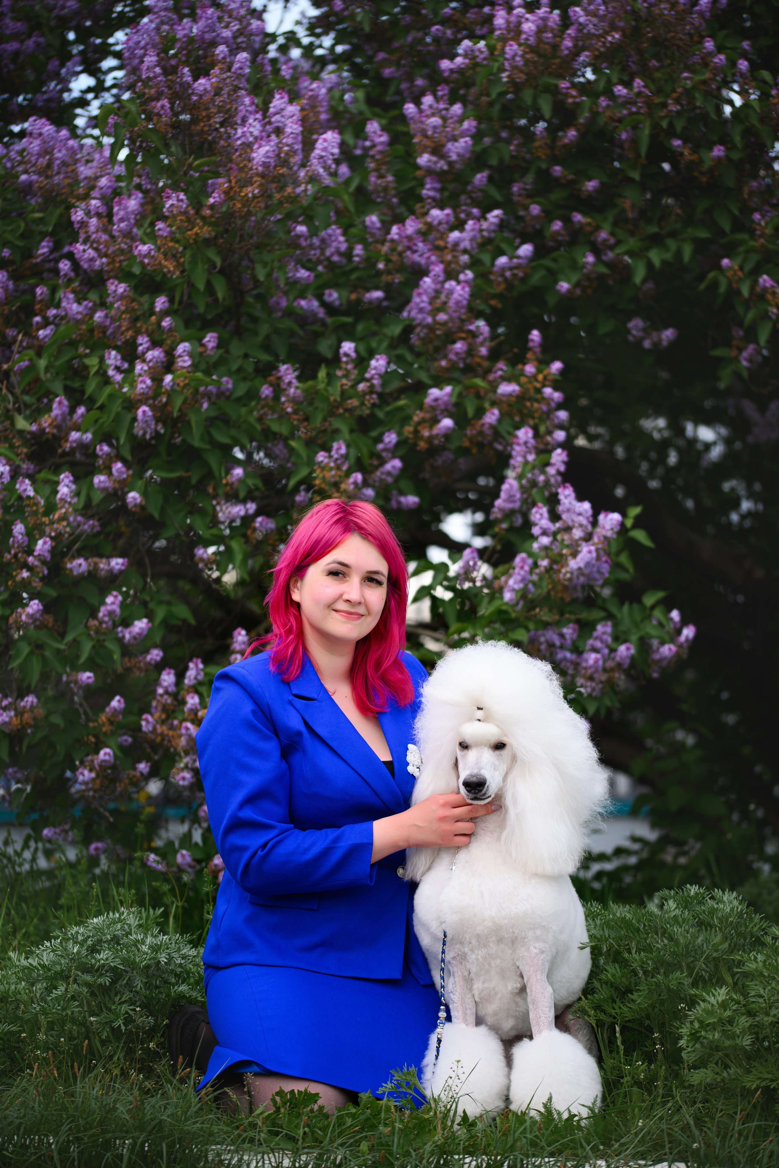 Собаки. FASHION ФОТОГРАФ КАЗАНЬ