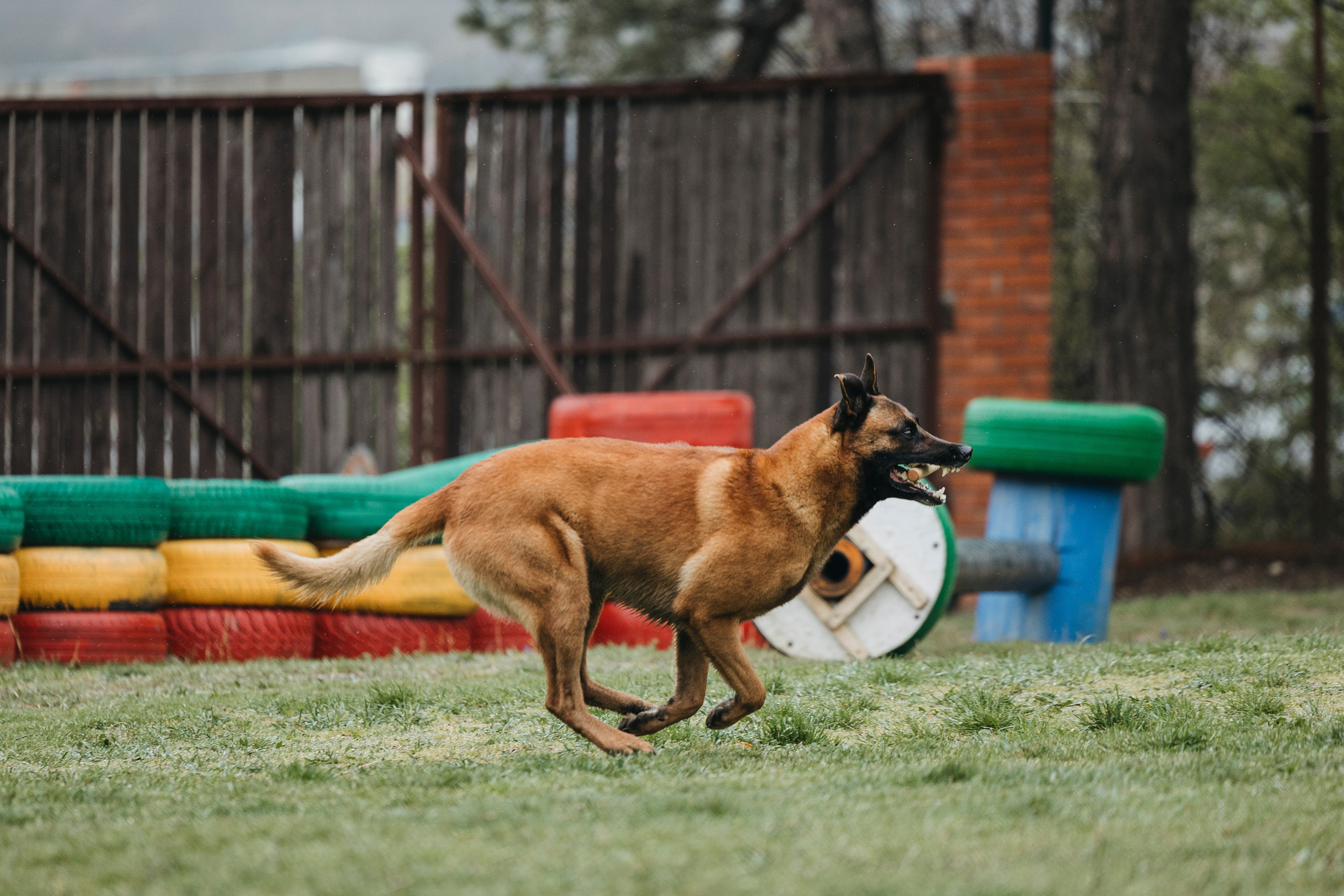 Геленджик Мондьоринг. Фотограф-анималист Анна Маринич