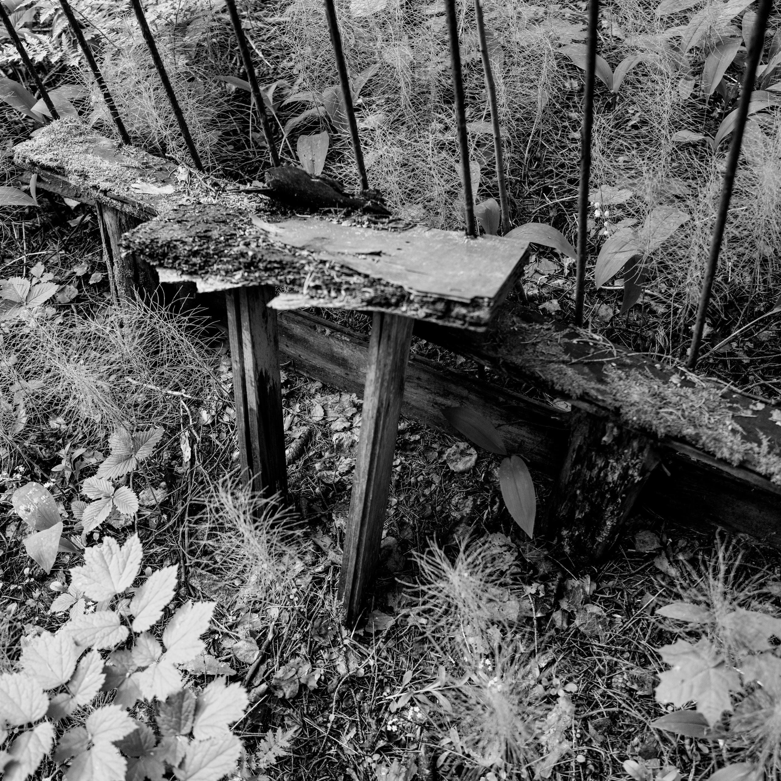 Память. Фотограф Александр Тихонов