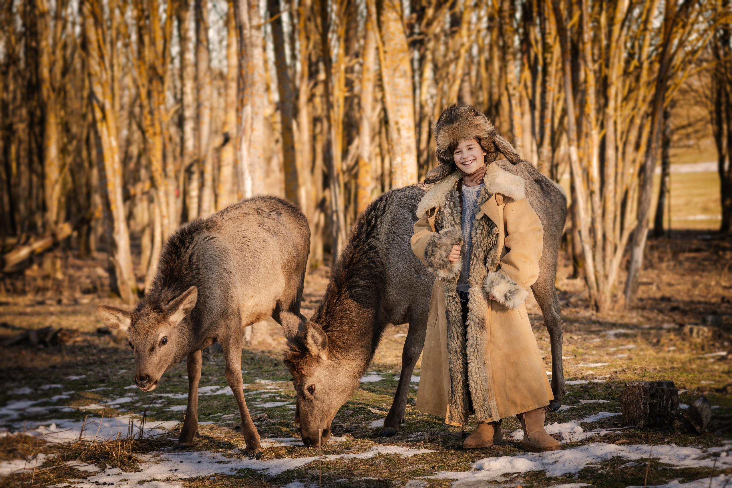 Фотосъемки с животными. Главная