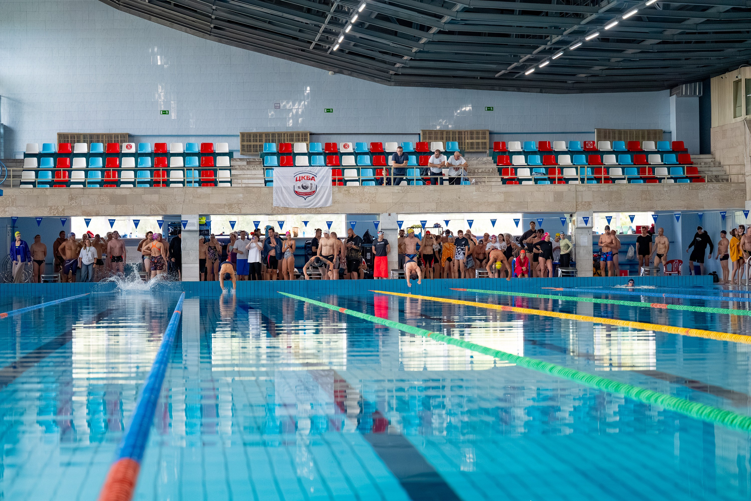 АРКС 2025 Плавание. Фотограф Киселев Егор