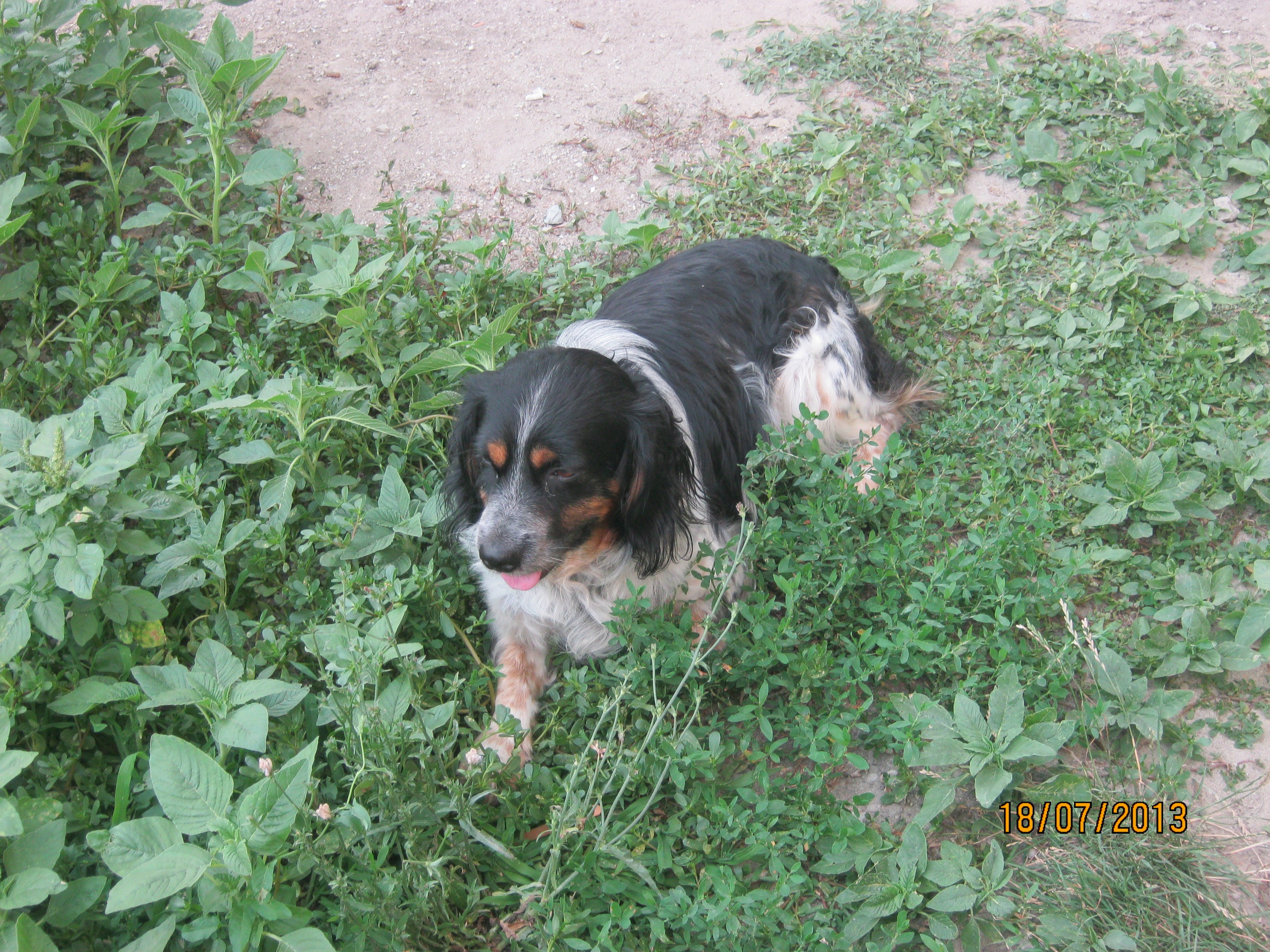 Кабардинка 05-19.07.2013. Семейный, Свадебный фотограф СПБ Питер— Романова Екатерина