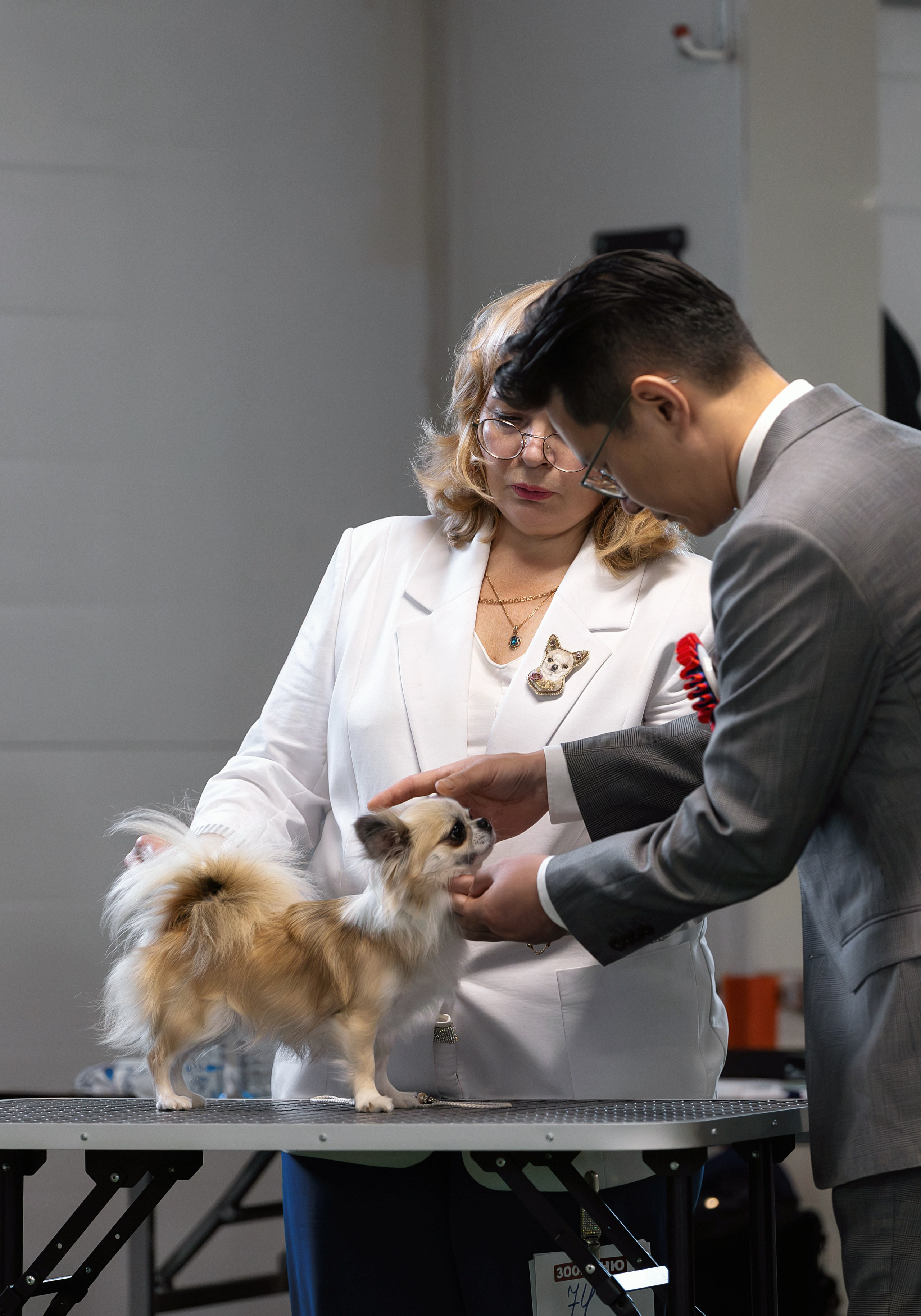 Съемка на выставках. Фотограф-анималист в Санкт-Петербурге — Юлия Чайкина