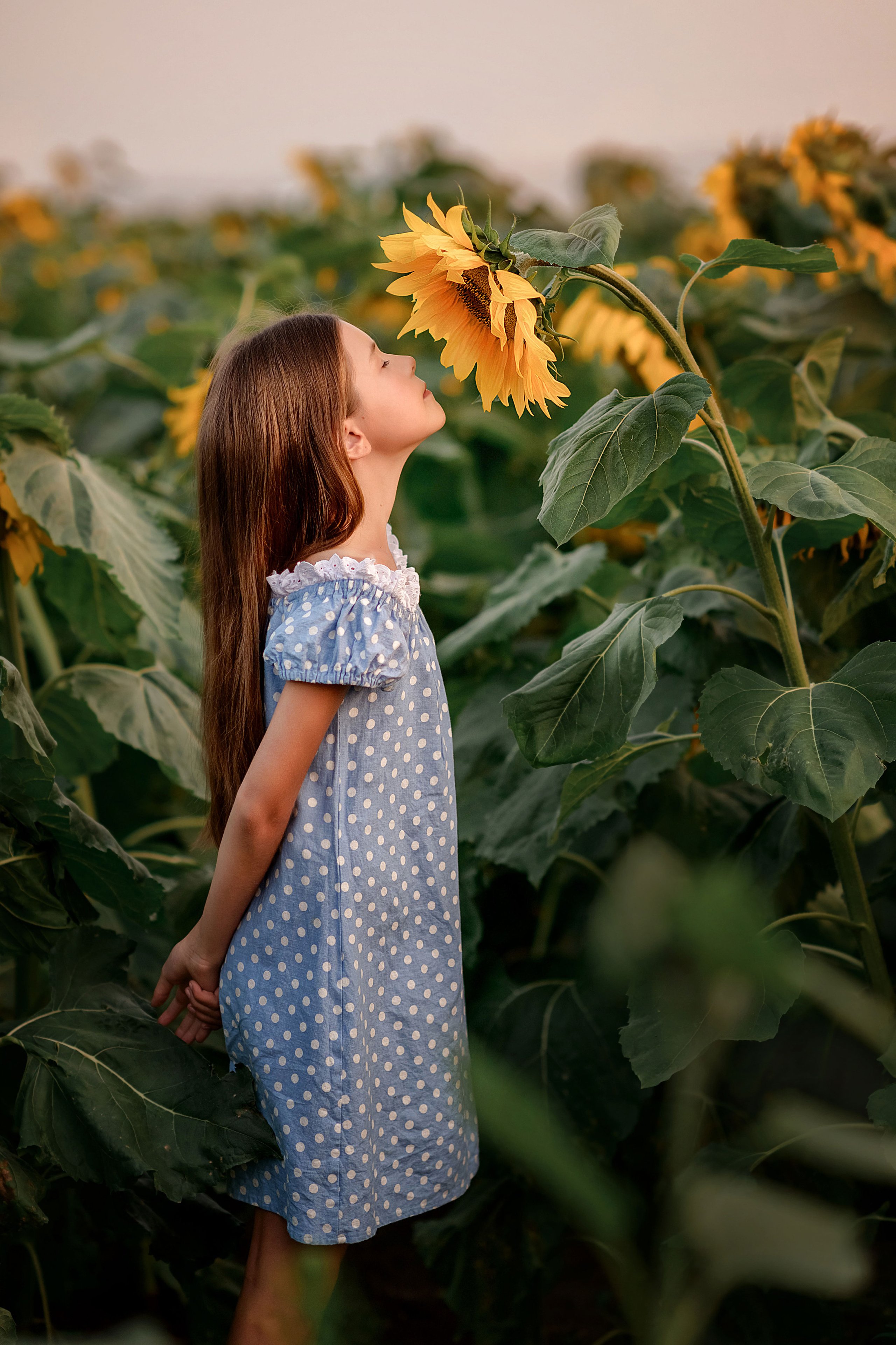 Семейная фотосессия в Красноярске. Студийная, прогулочная, домашняя. Профессиональный фотограф в г. Красноярске Татьяна Арлакова