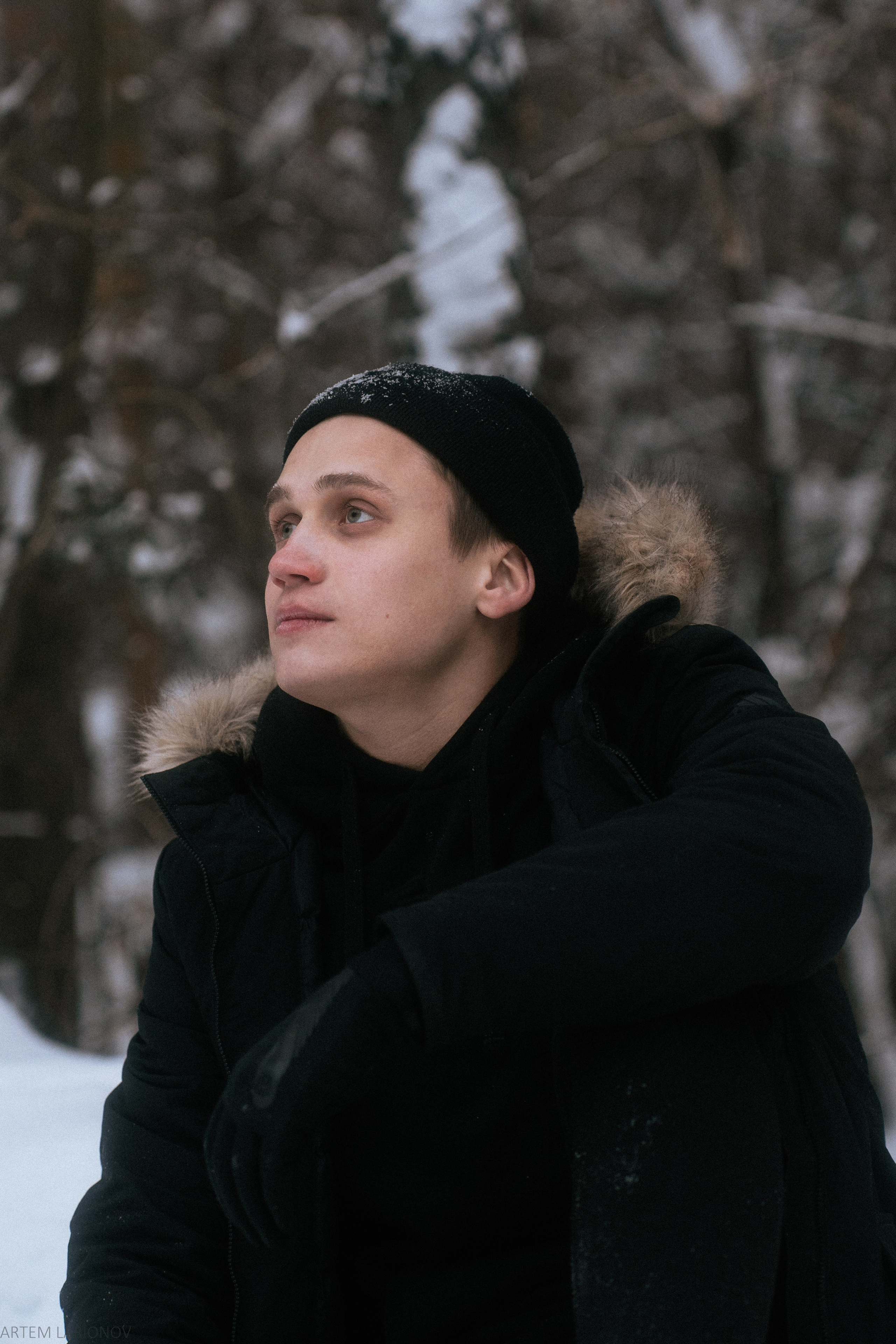 Снежный лес. Фотограф Артем Ларионов