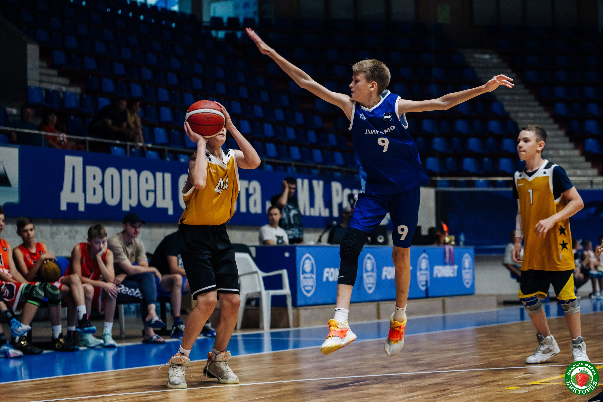 Турнир среди школьных команд 3×3, 2011–2012 гг. // 20.07.2024. Денис Прохоров Фотограф в г. Магнитогорск