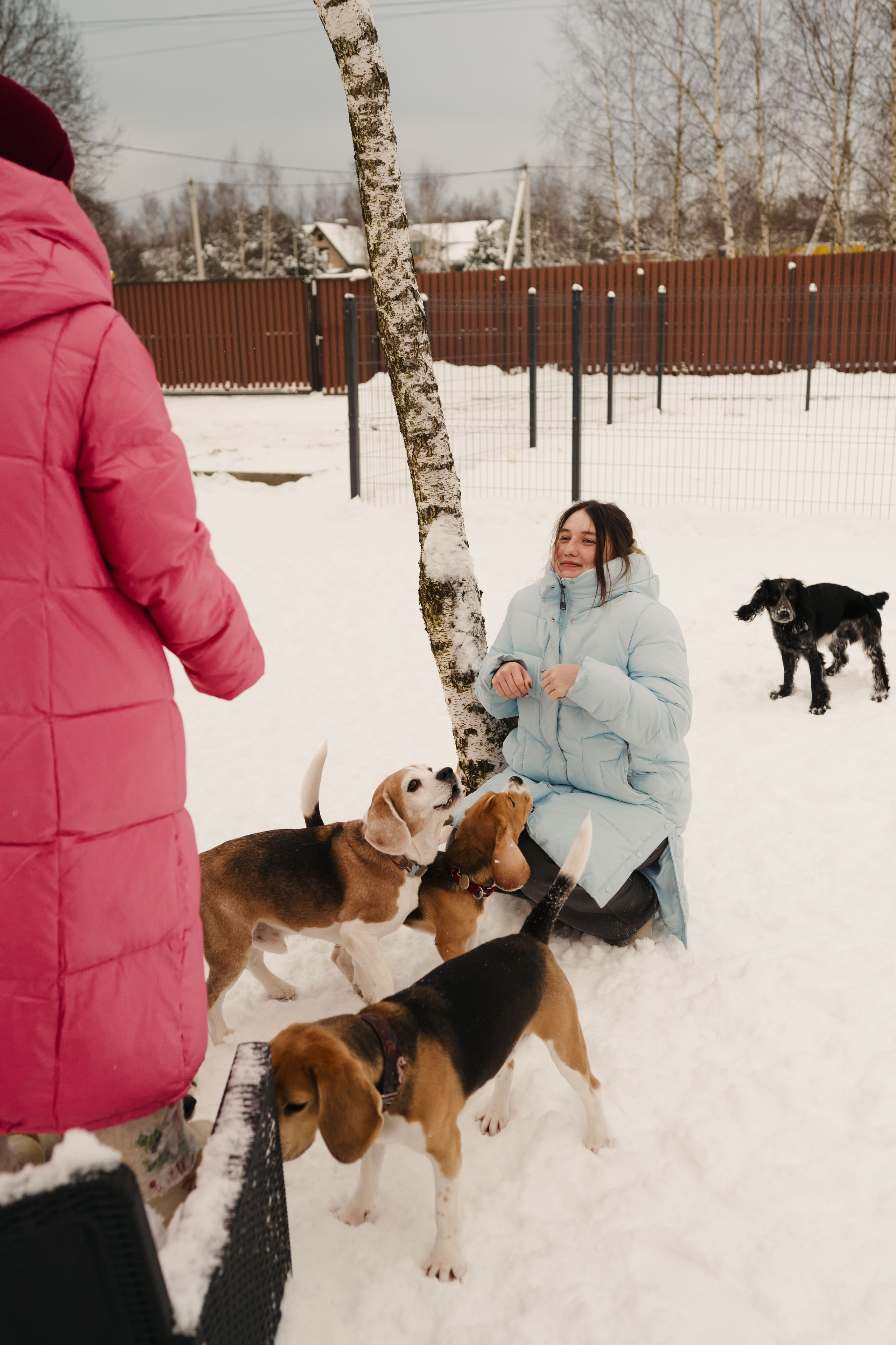 Зоогостиница Мишка. Фотограф- анималист Александра Матвеева