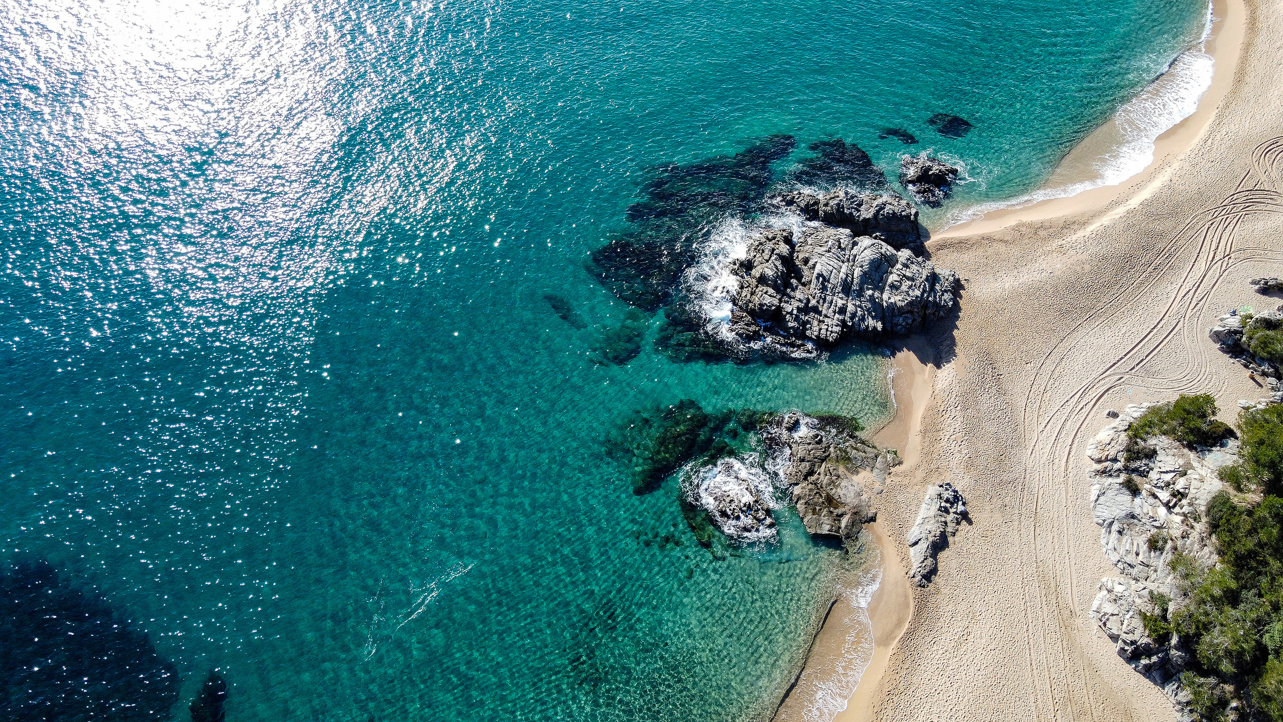 Dron. Fotógrafo Y Videógrafo Rost Kutuzov