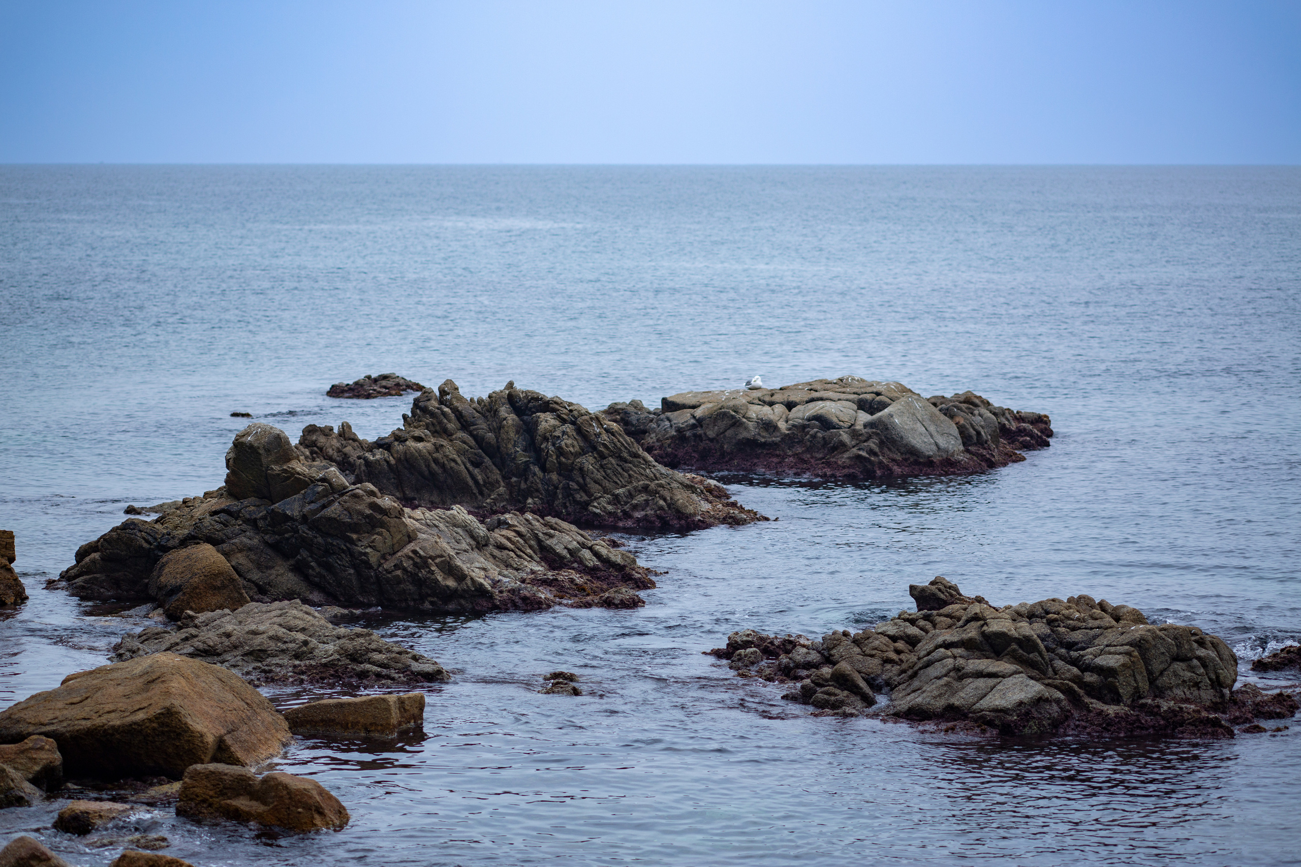 Paisajes. Fotógrafo Y Videógrafo Rost Kutuzov