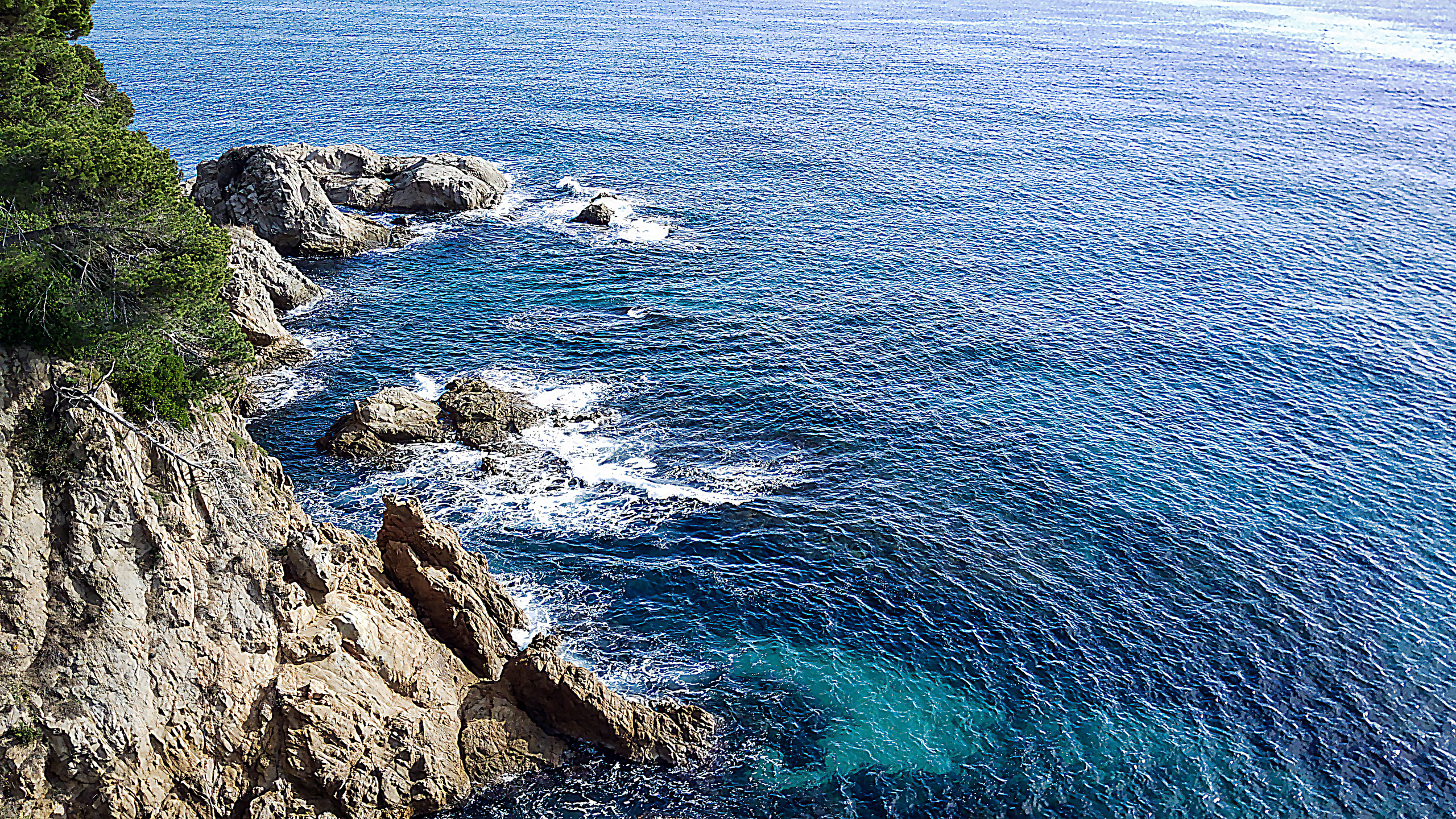 Dron. Fotógrafo Y Videógrafo Rost Kutuzov